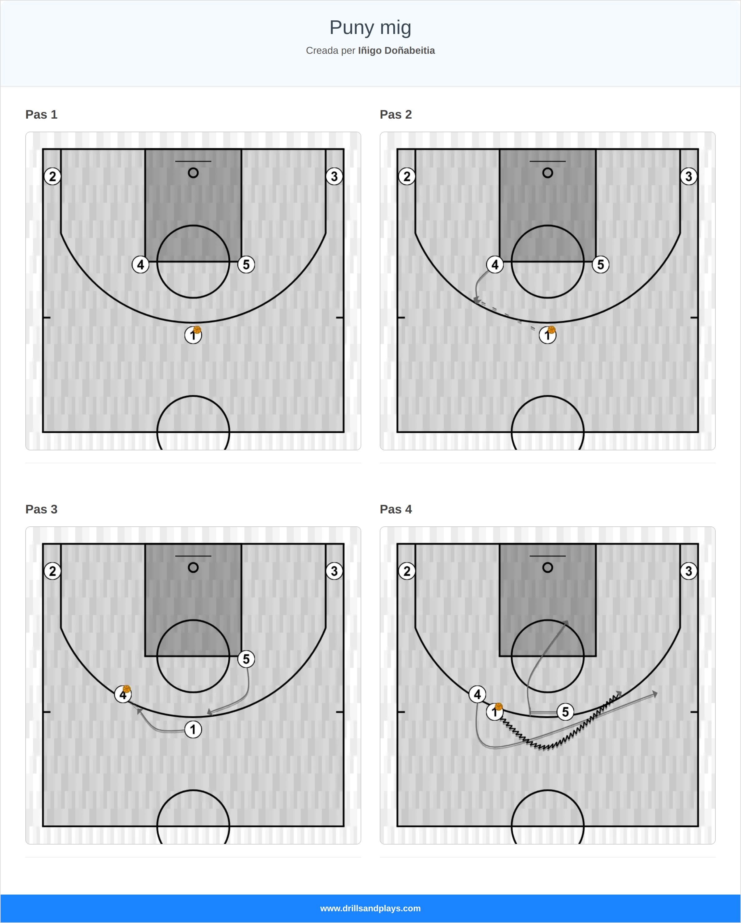 Jugada de bàsquet puny mig