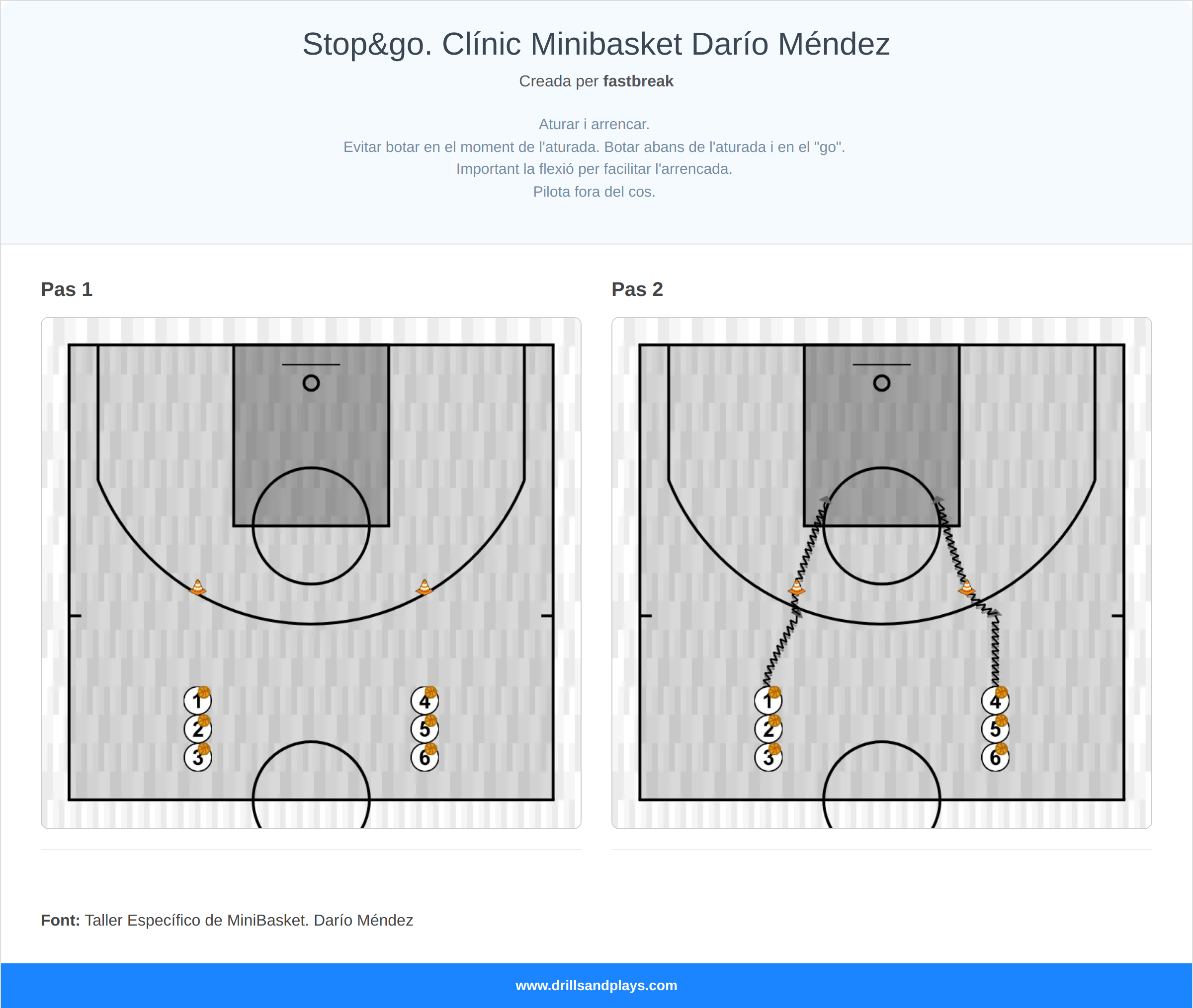 Exercici de bàsquet stop&go. clínic minibasket darío méndez