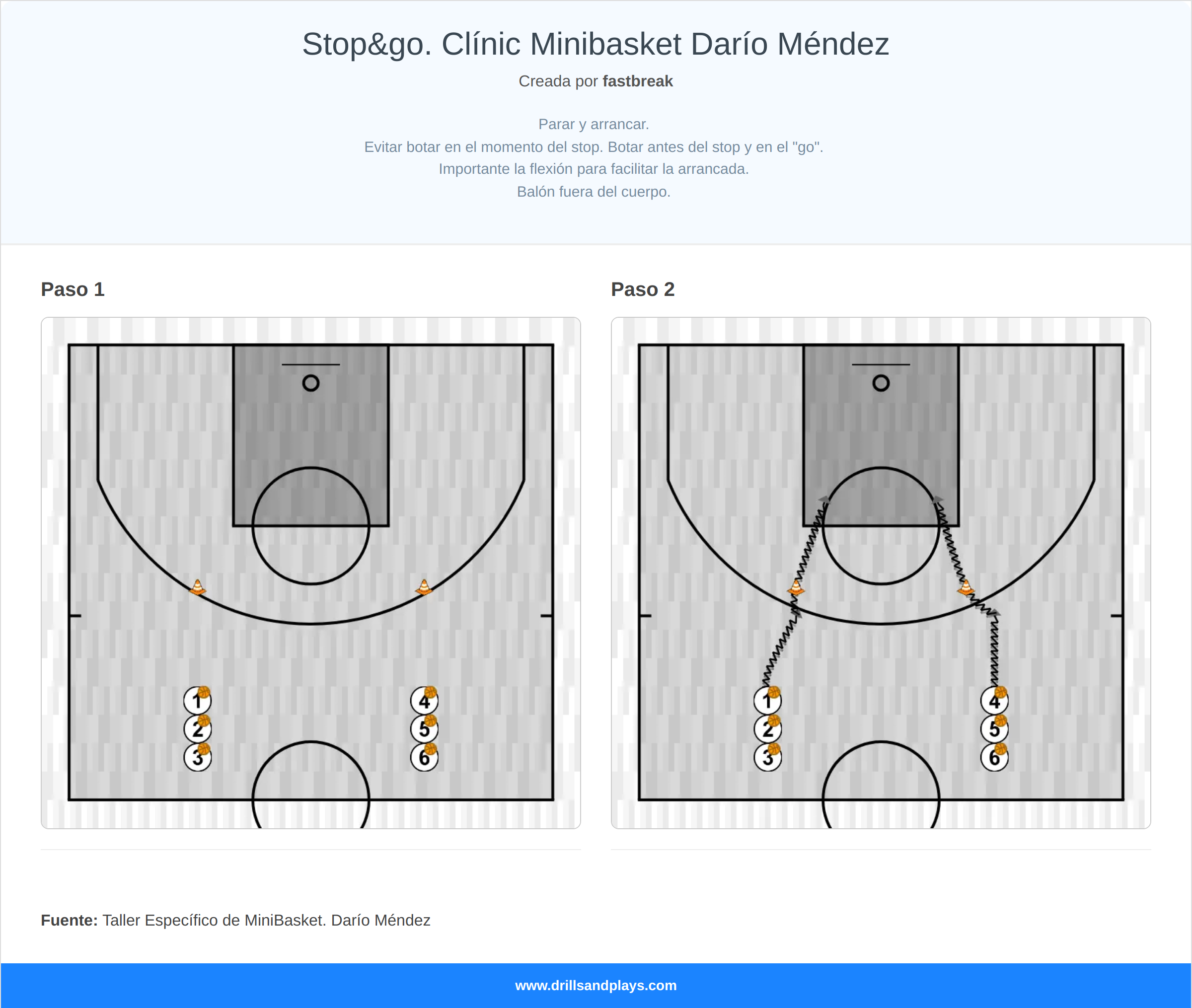 Ejercicio de baloncesto stop&go. clínic minibasket darío méndez