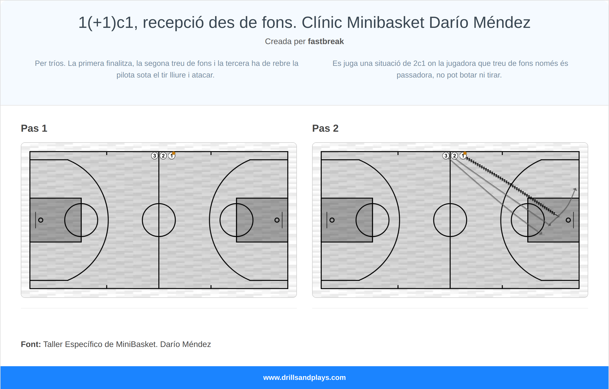 Exercici de bàsquet 1(+1)c1, recepció des de fons. clínic minibasket darío méndez
