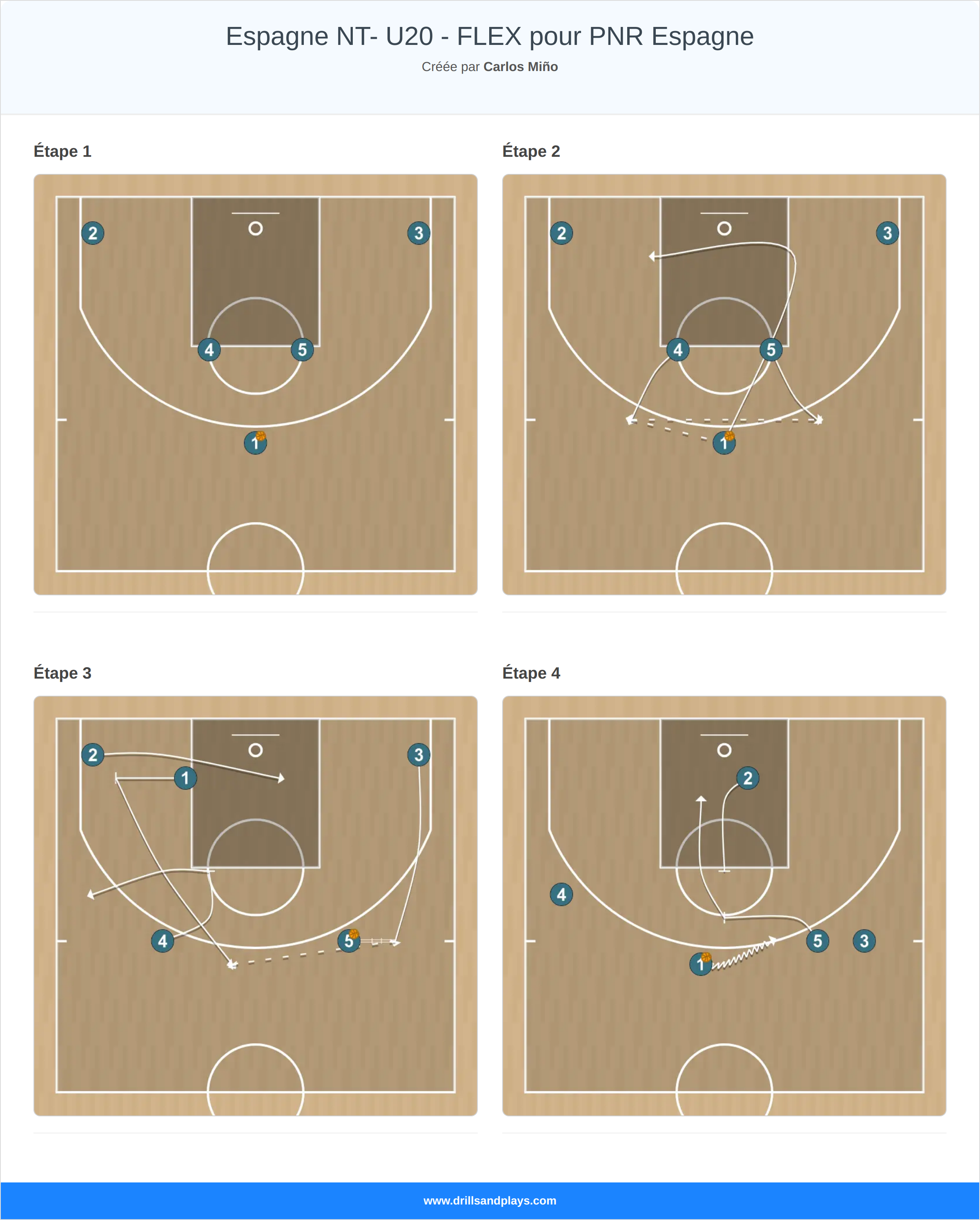Jeux de basket-ball espagne nt- u20 - flex pour pnr espagne