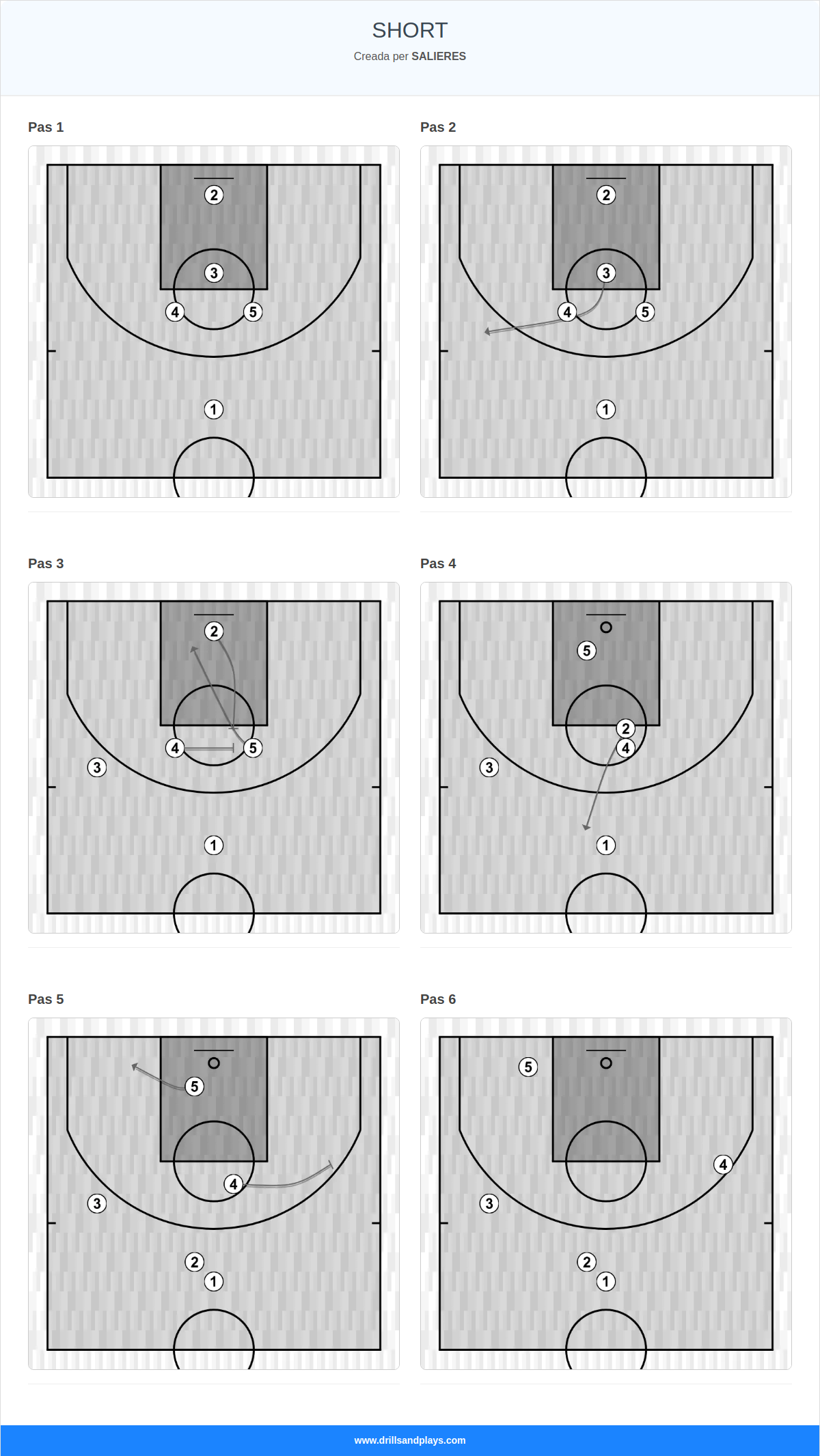 Jugada de bàsquet short