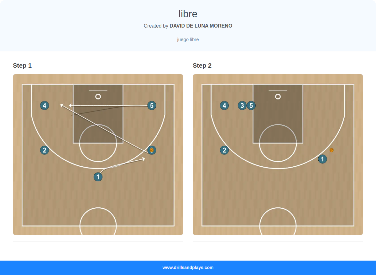 Basketball play libre