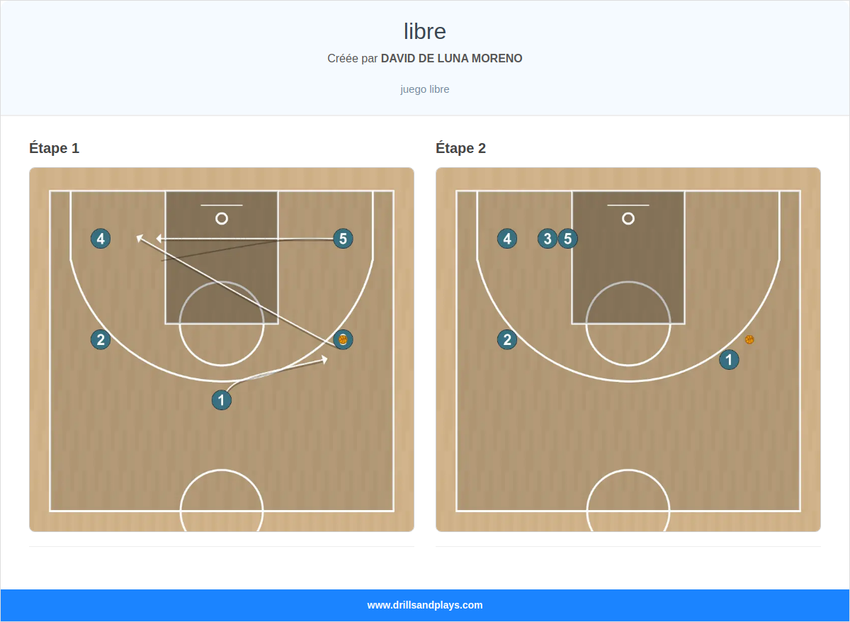 Jeux de basket-ball libre