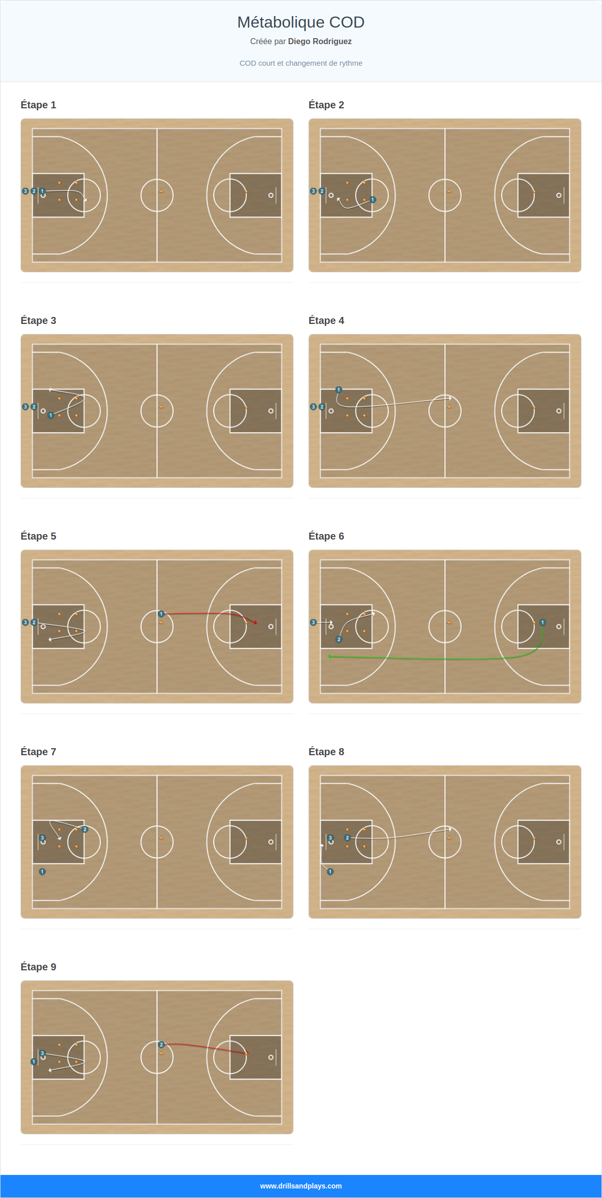 Exercices de basket-ball métabolique cod
