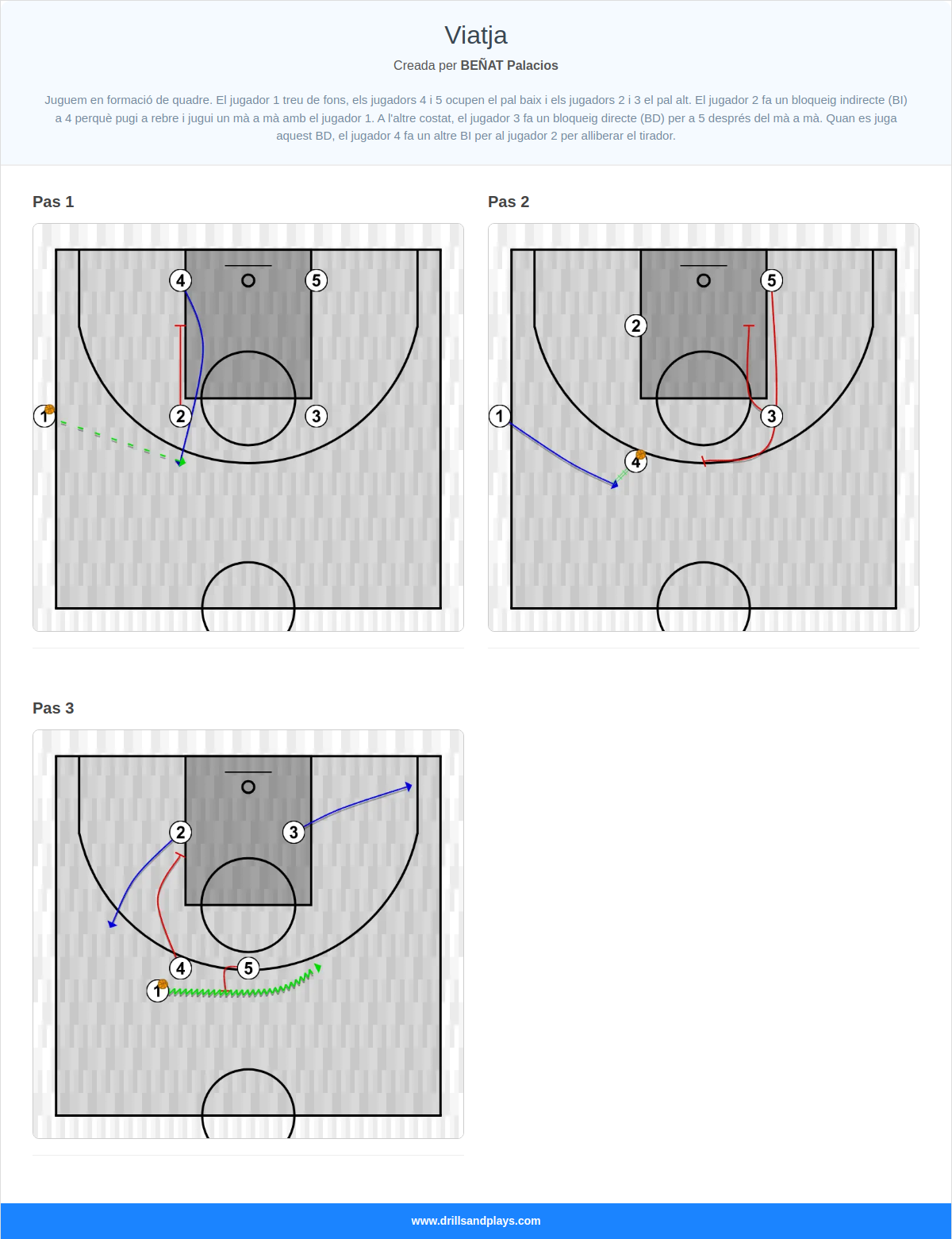 Jugada de bàsquet viatja