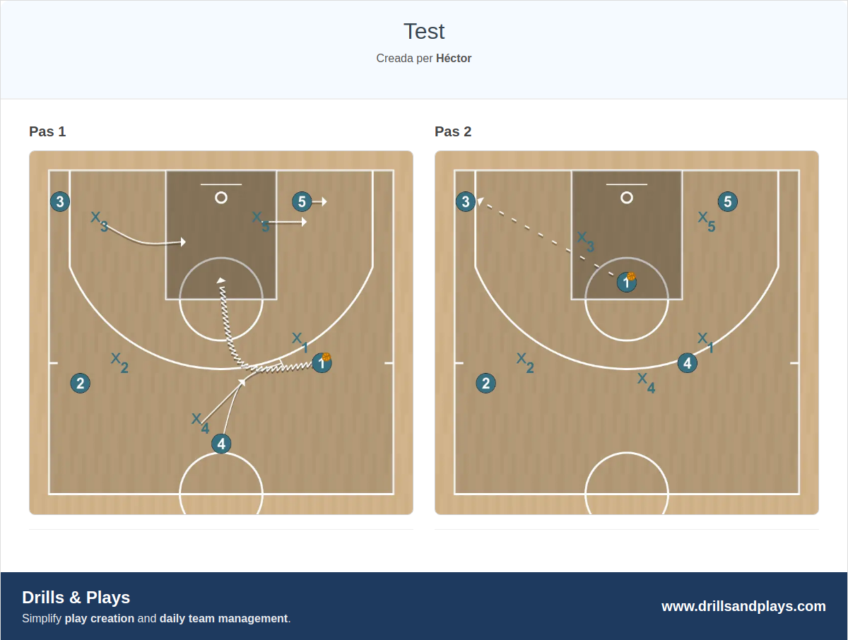Jugada de bàsquet test