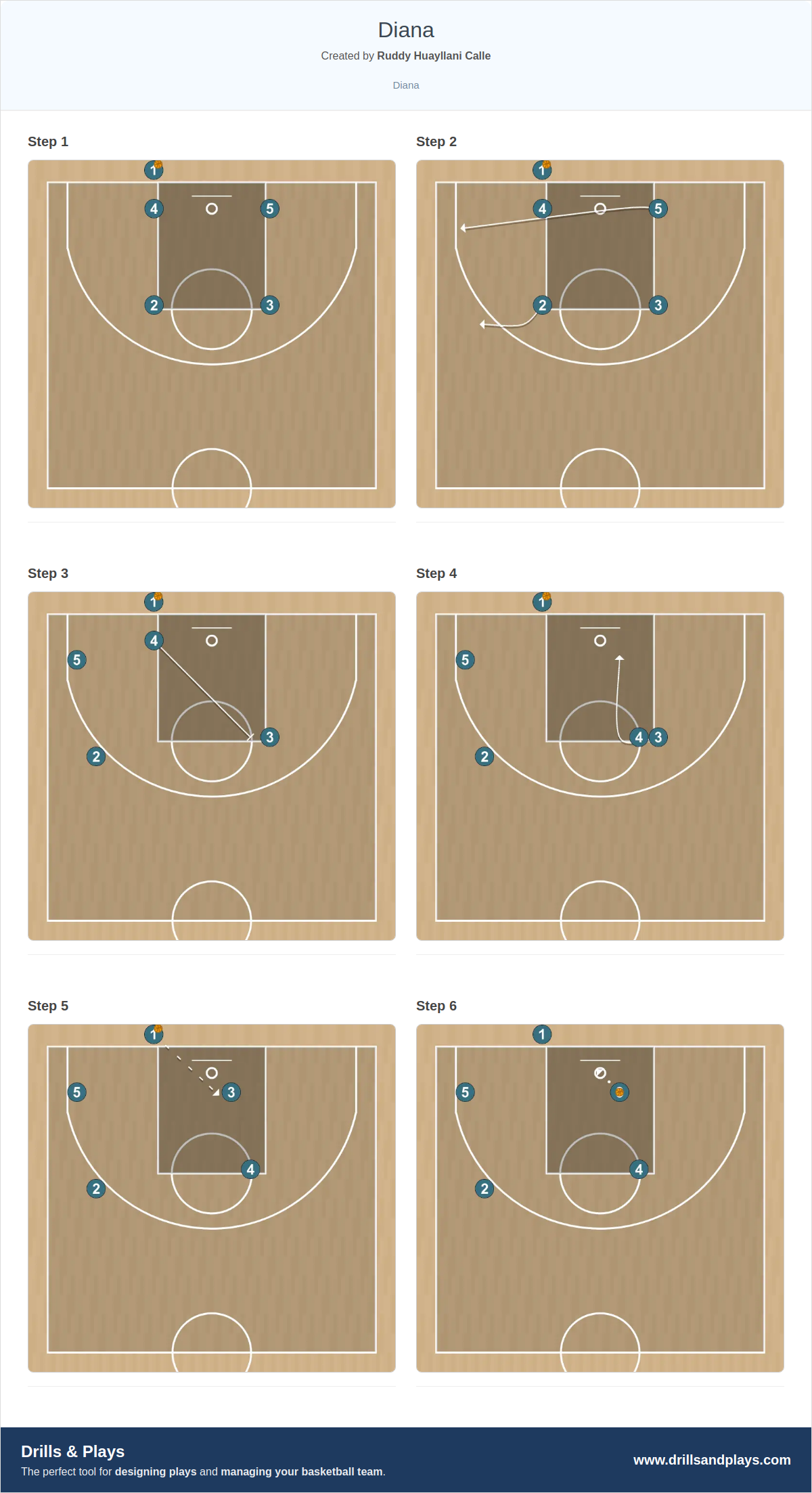 Basketball play diana