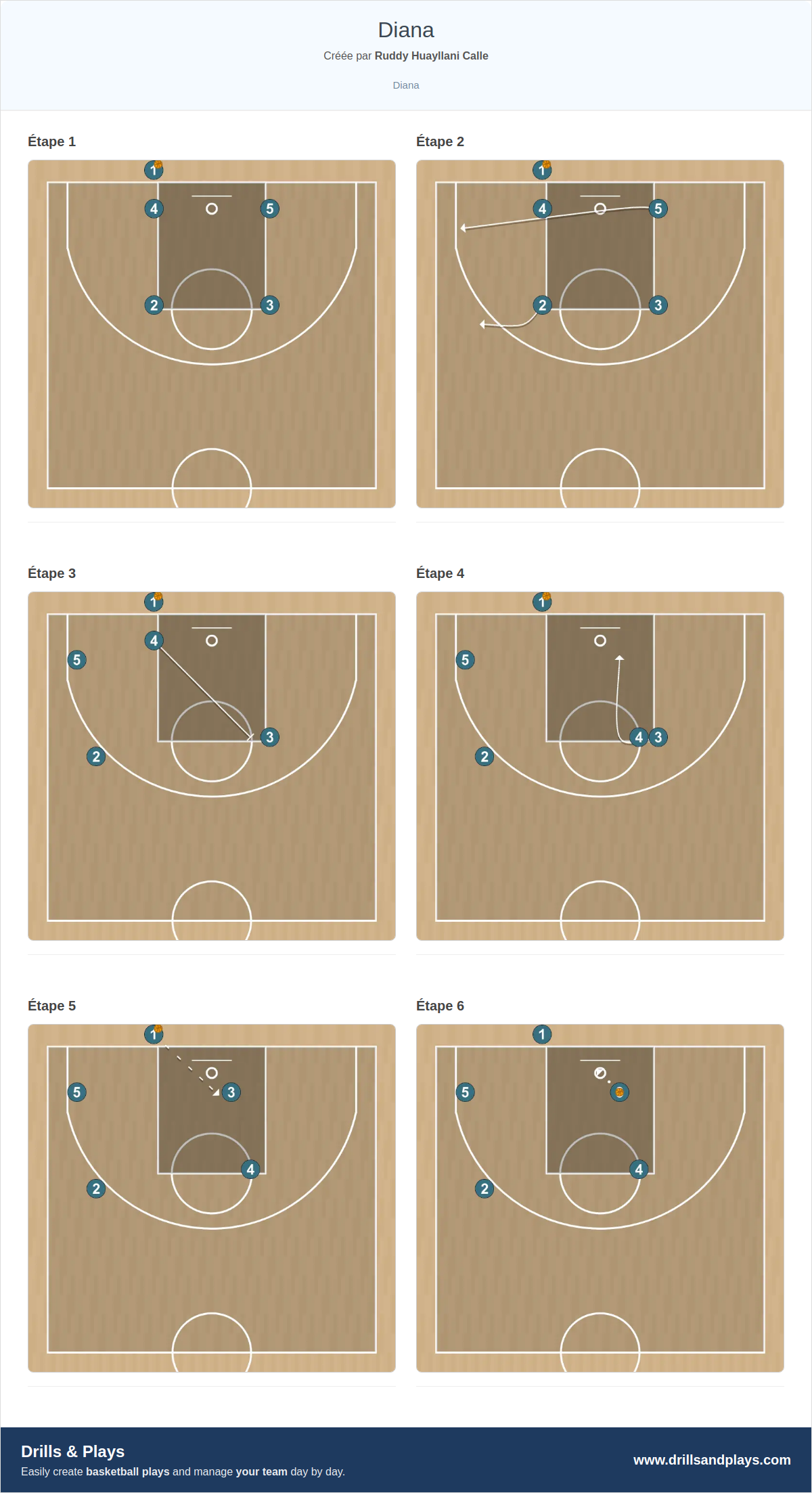 Jeux de basket-ball diana