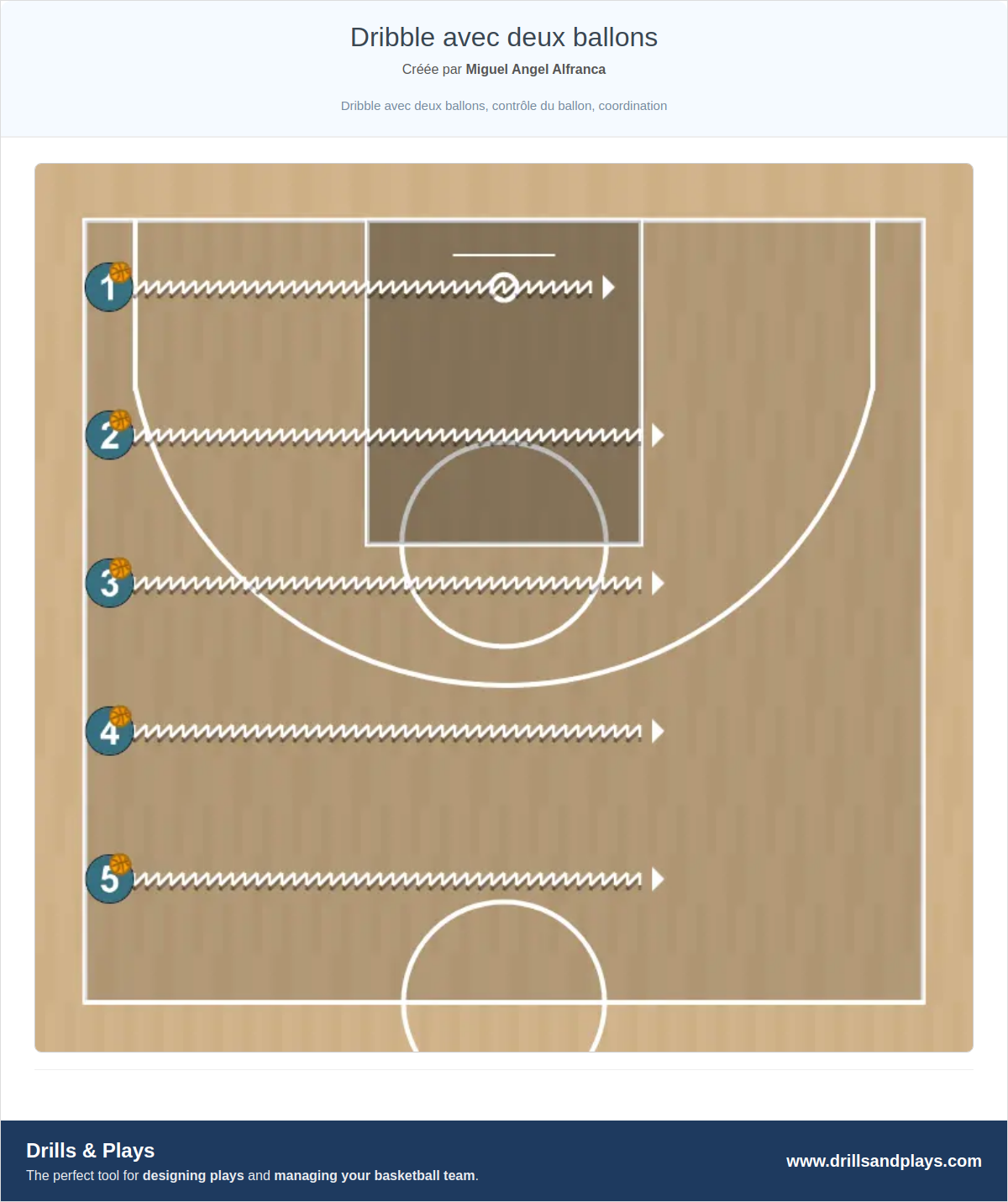 Exercices de basket-ball dribble avec deux ballons