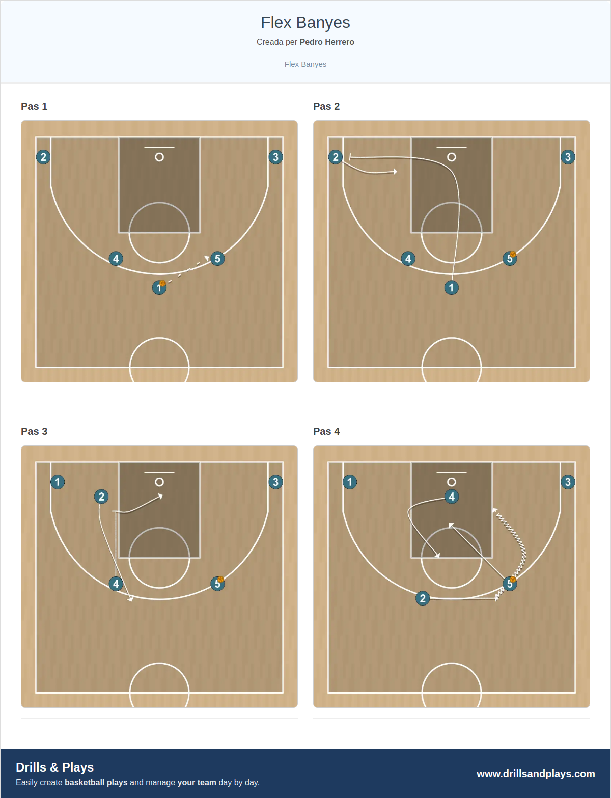 Jugada de bàsquet flex banyes