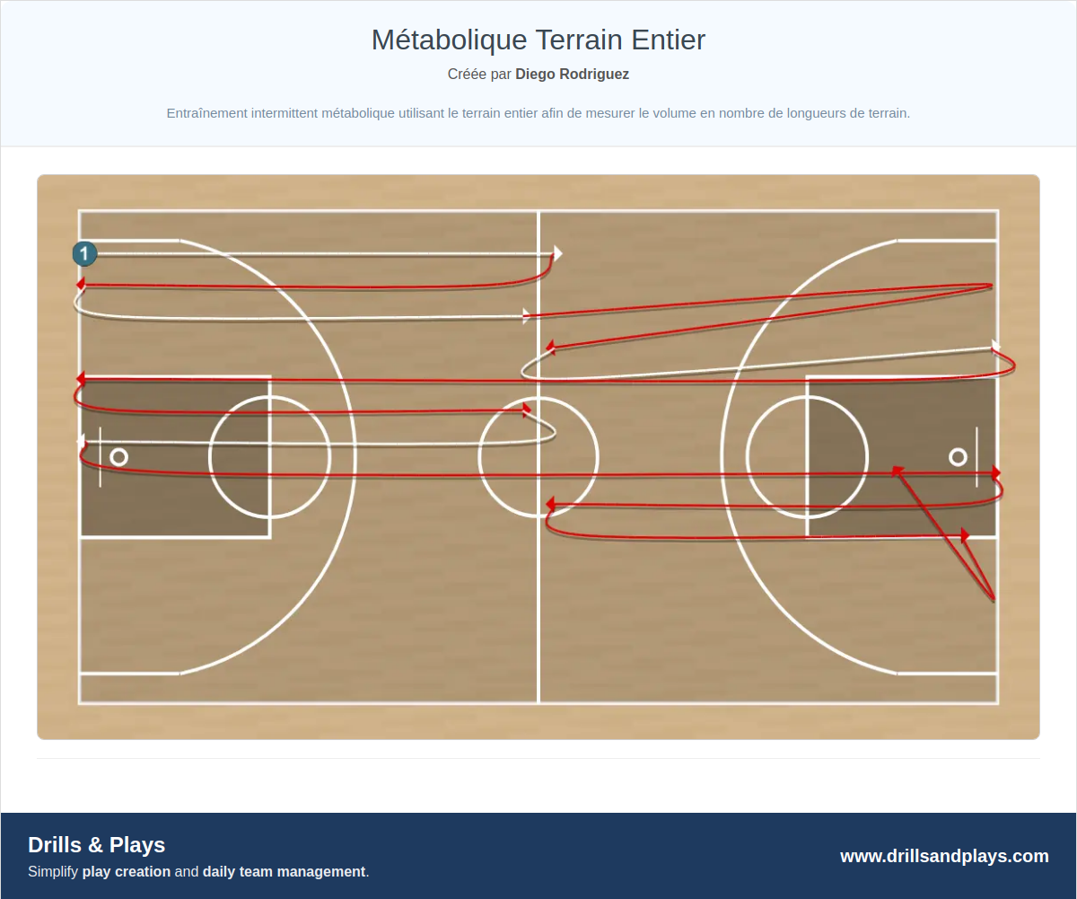 Exercices de basket-ball métabolique terrain entier