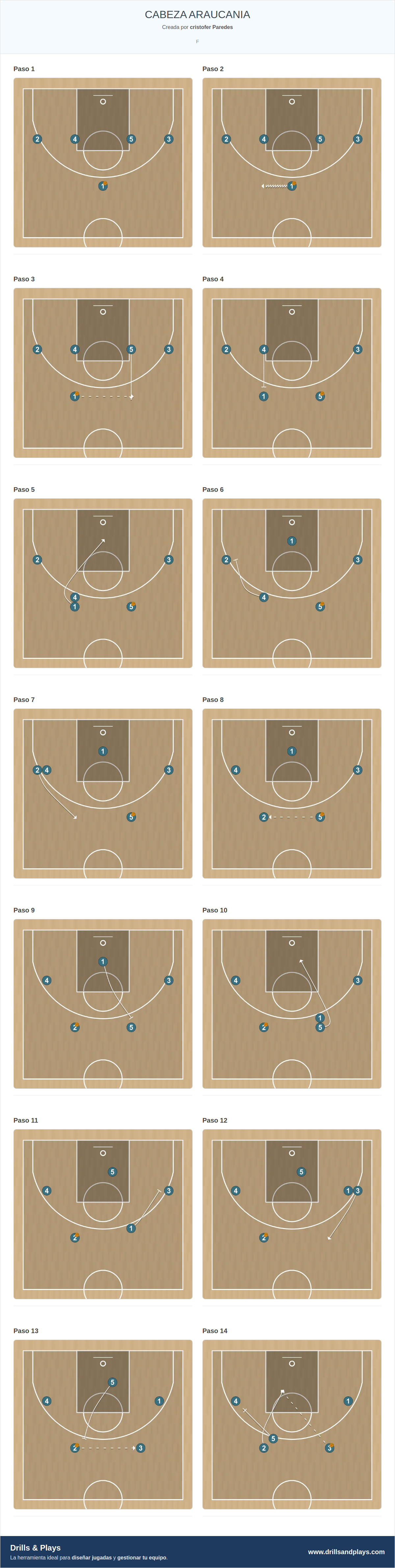 Jugada de baloncesto cabeza araucania