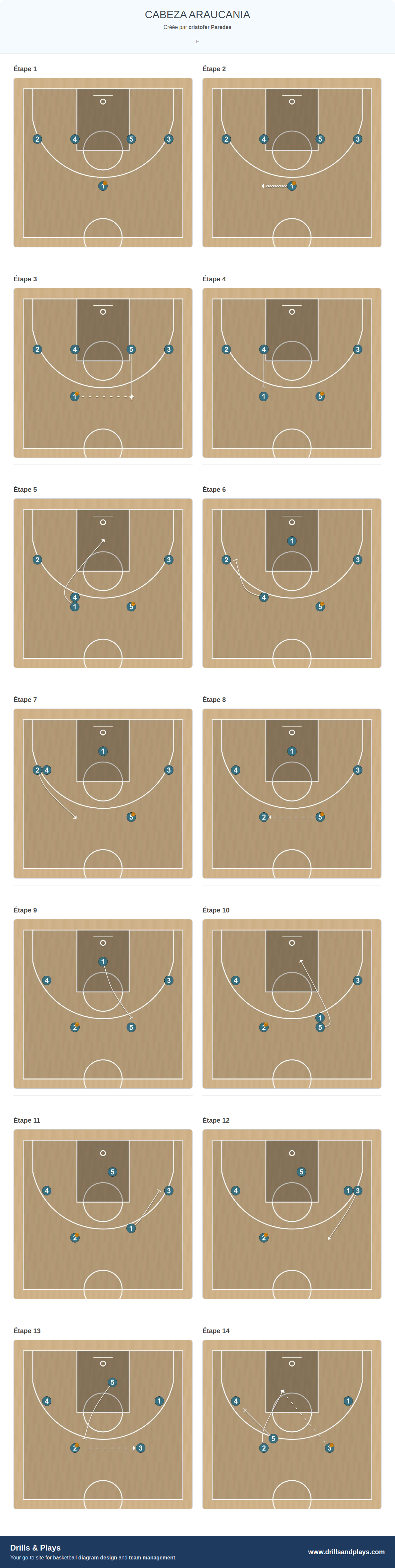 Jeux de basket-ball cabeza araucania