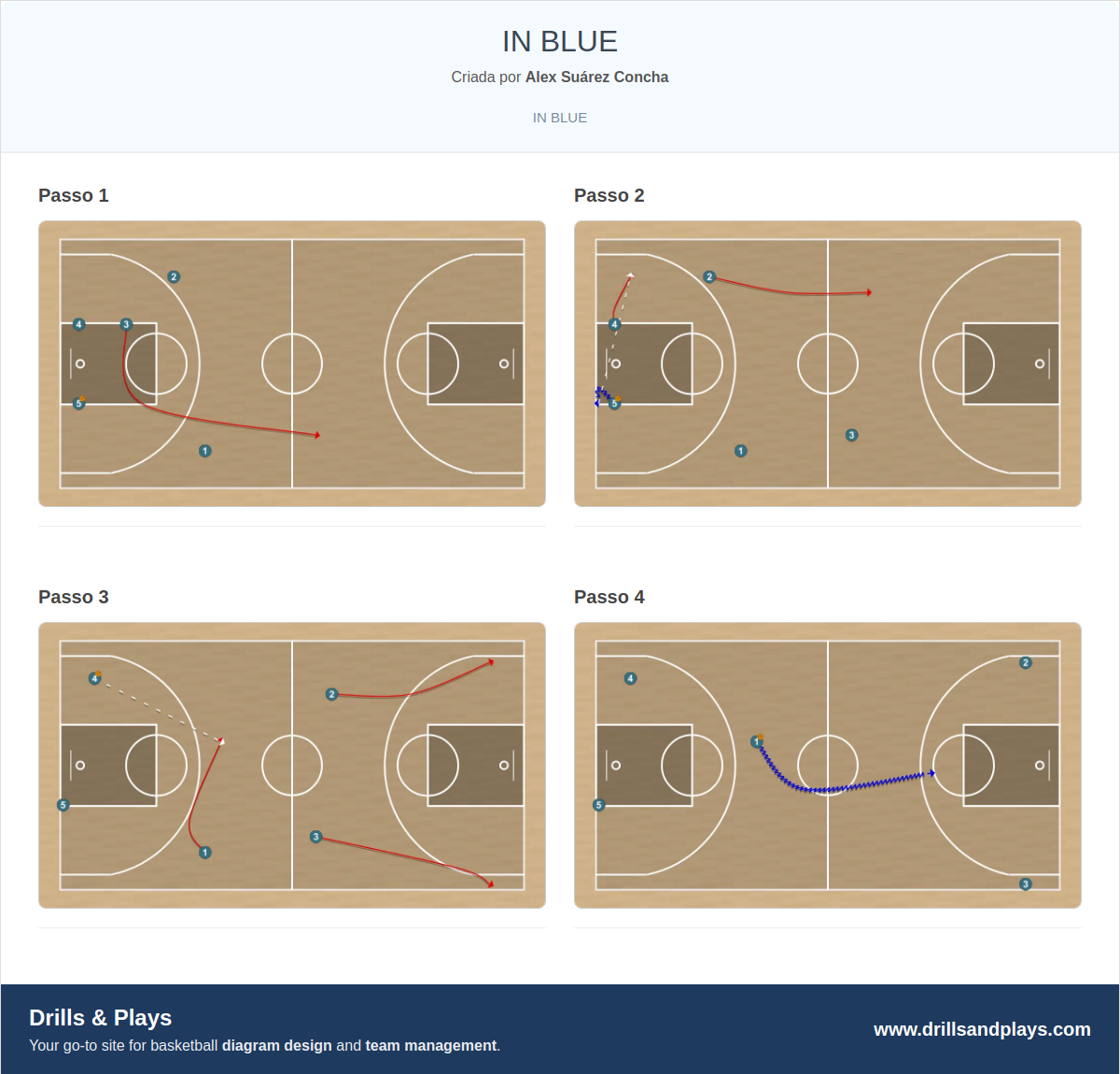 Jogada de basquete in blue