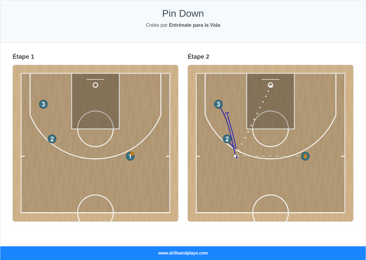 Jeux de basket-ball pin down