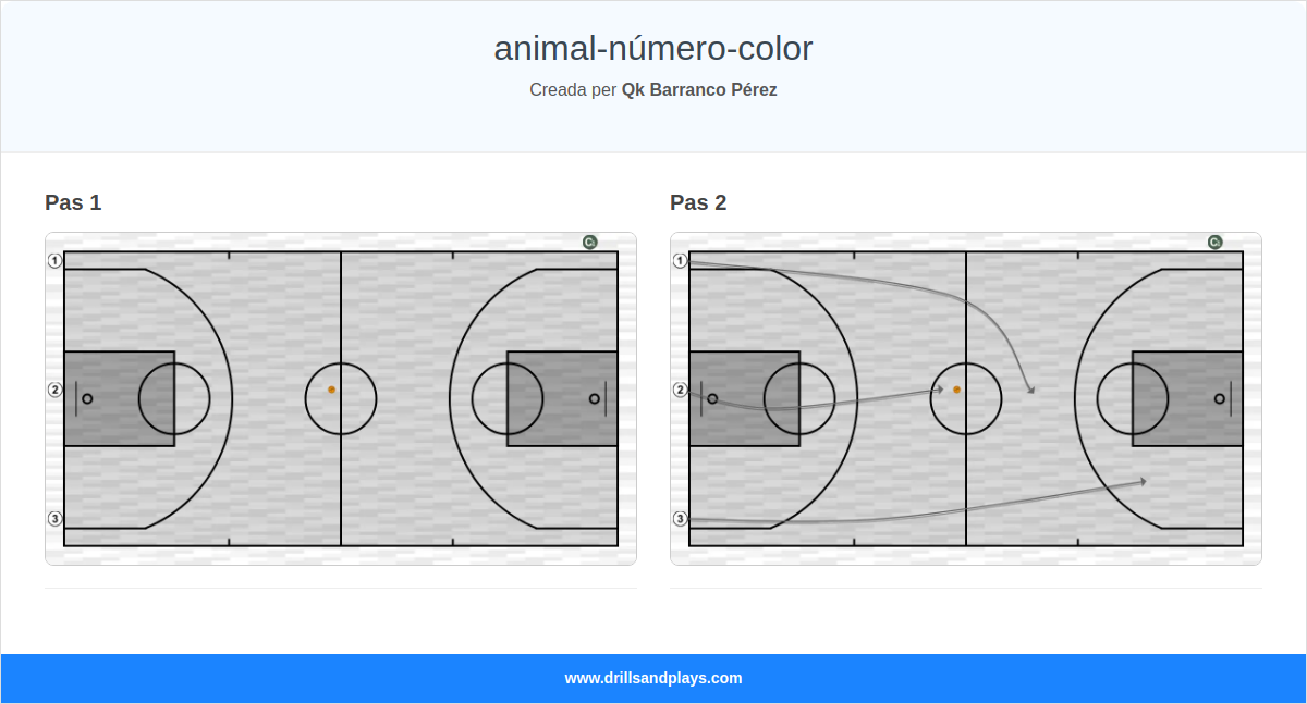 Exercici de bàsquet animal-número-color