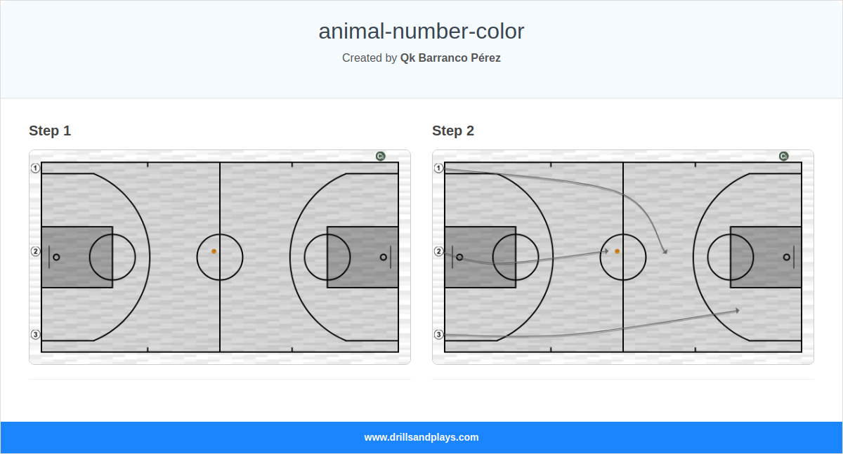 Basketball drill animal-number-color