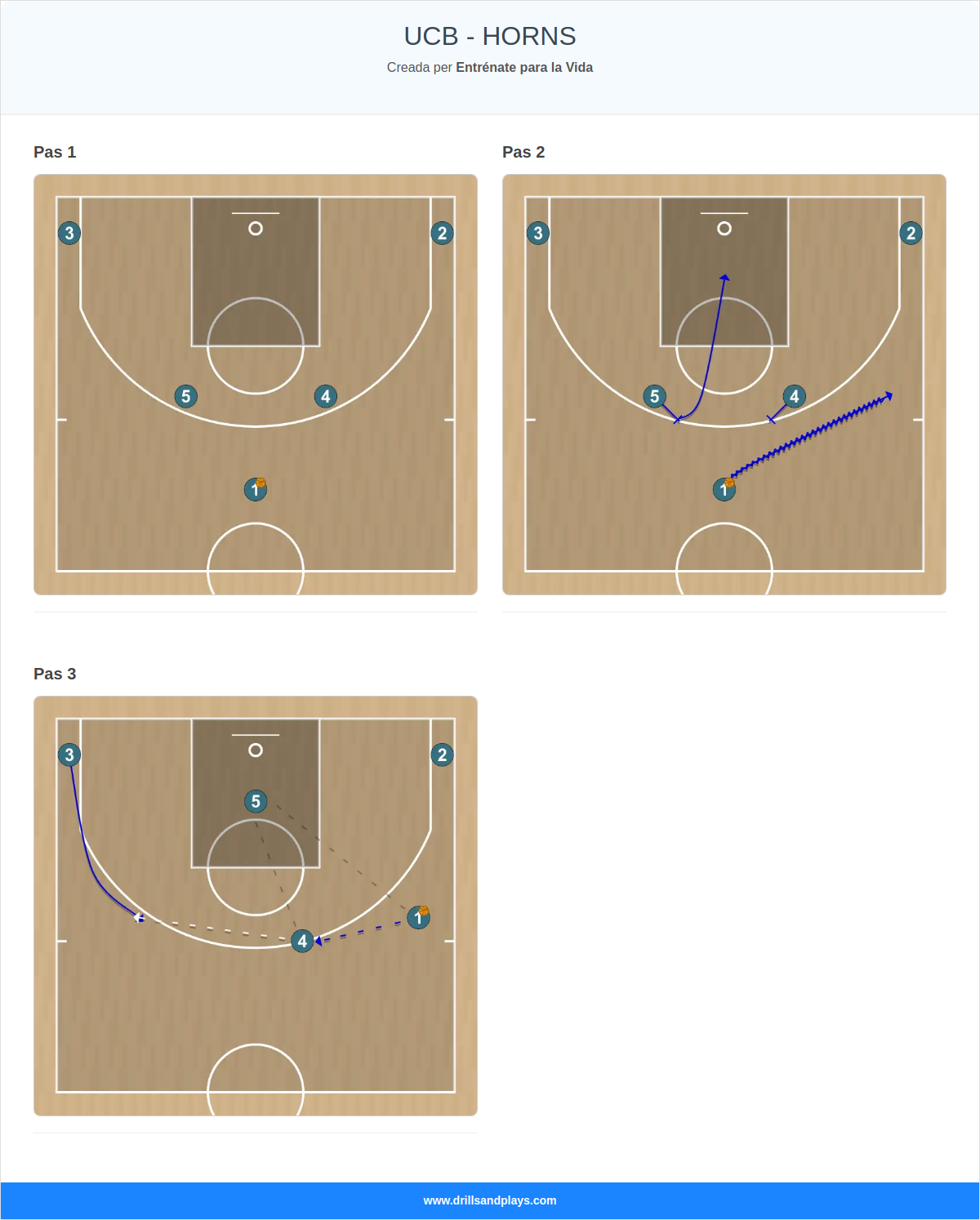 Jugada de bàsquet ucb - horns