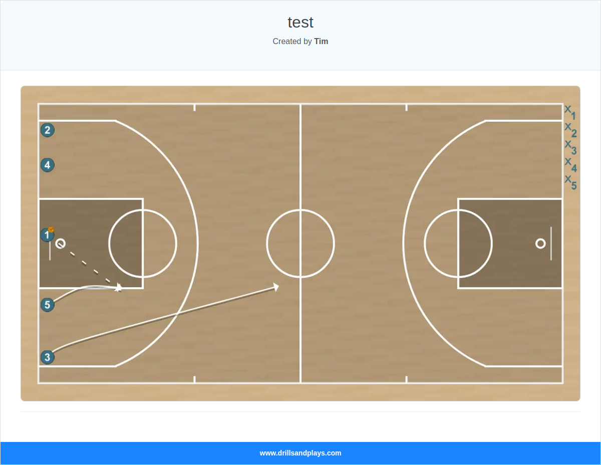 Basketball play test