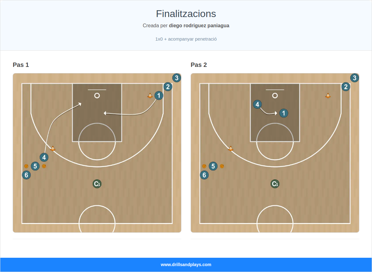 Exercici de bàsquet finalitzacions