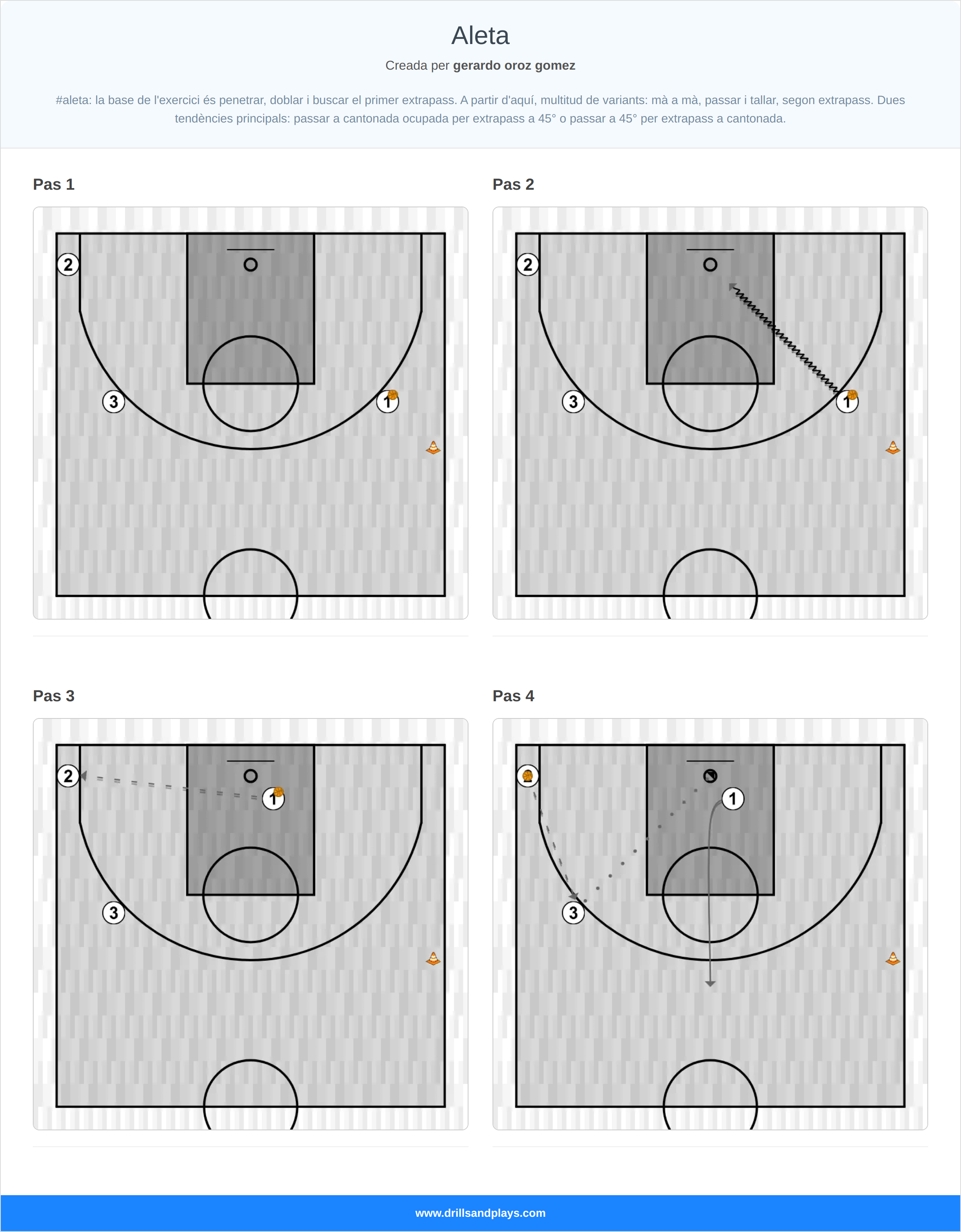 Exercici de bàsquet aleta