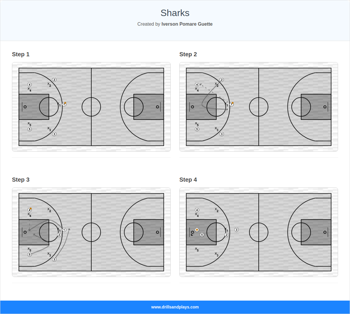 Basketball play sharks