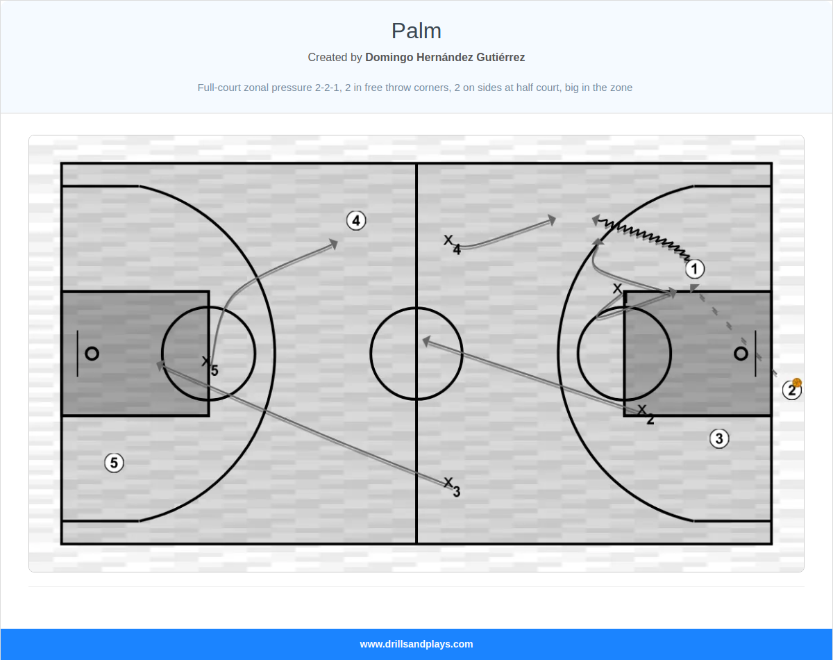 Basketball play palm