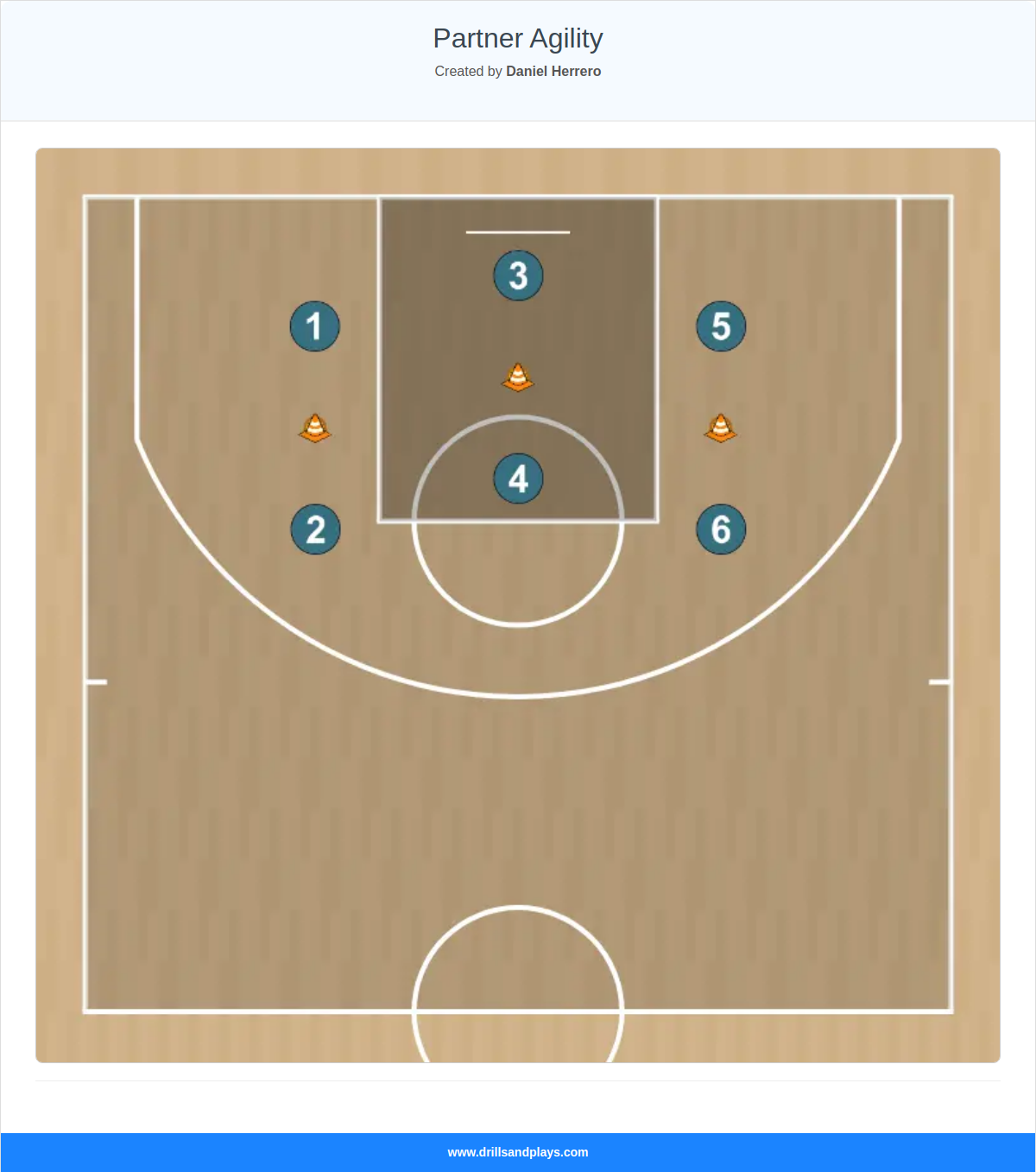 Basketball drill partner agility