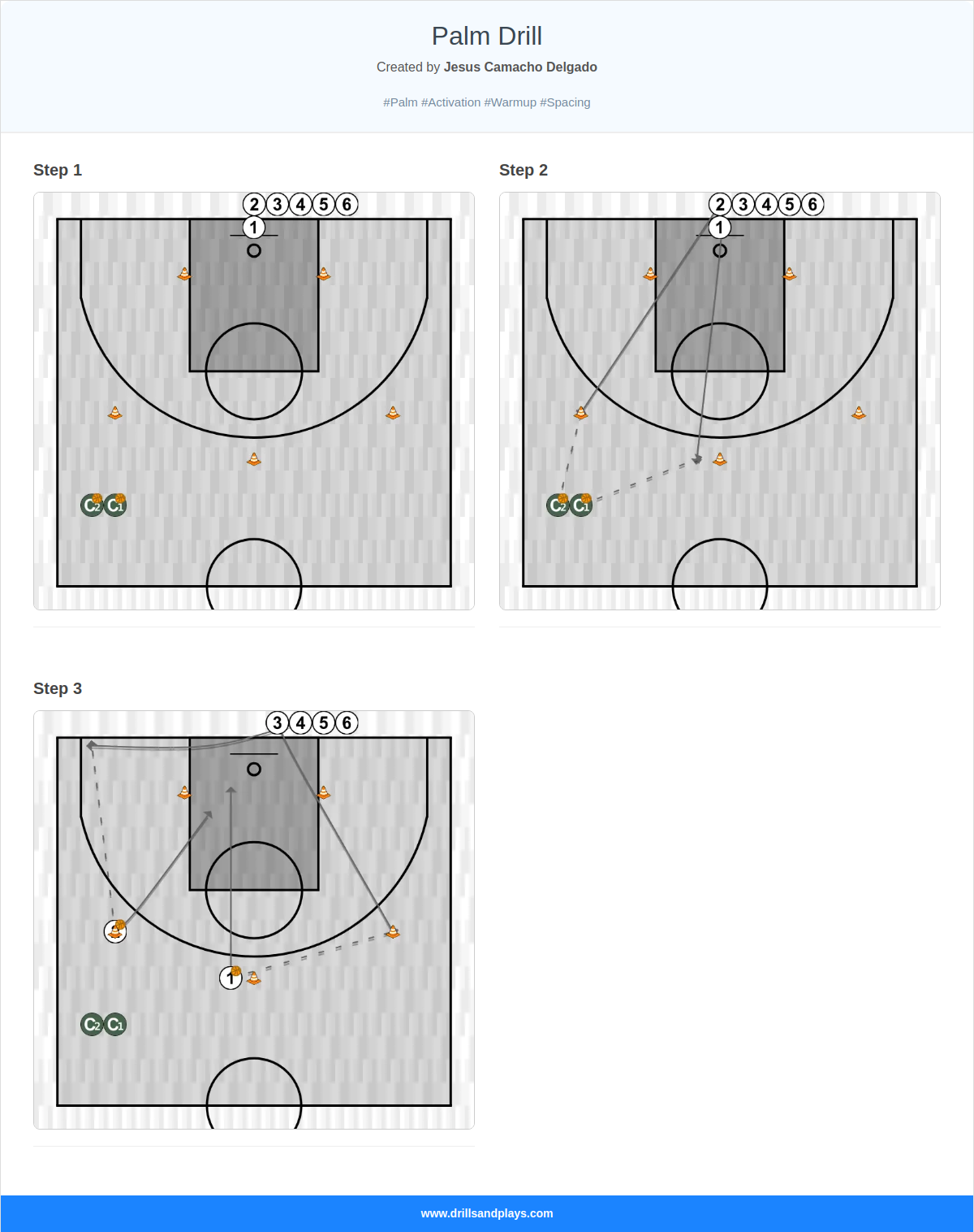 Basketball drill palm drill