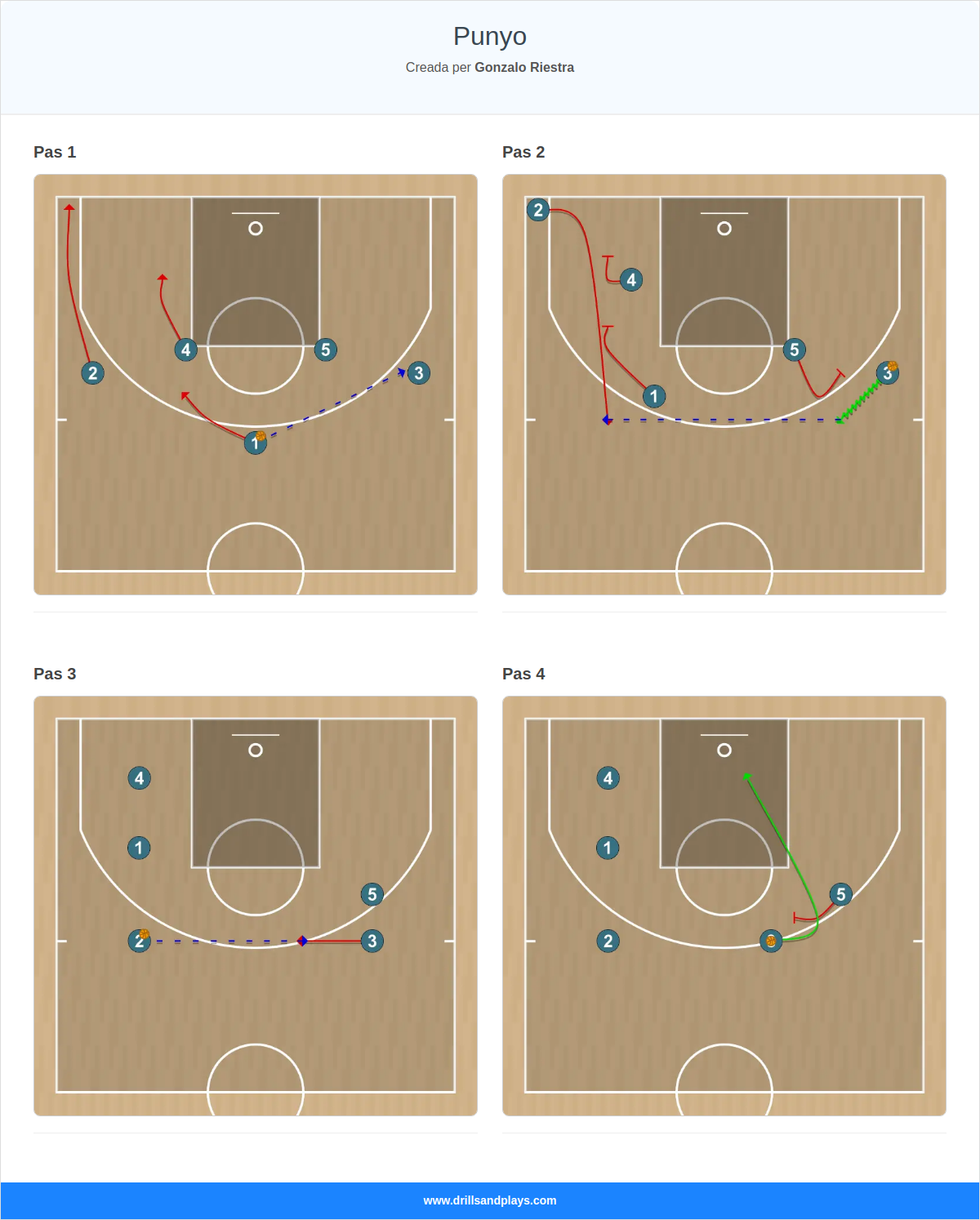 Jugada de bàsquet punyo