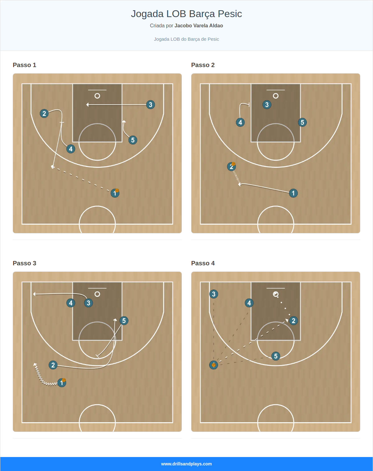 Jogada de basquete jogada lob barça pesic