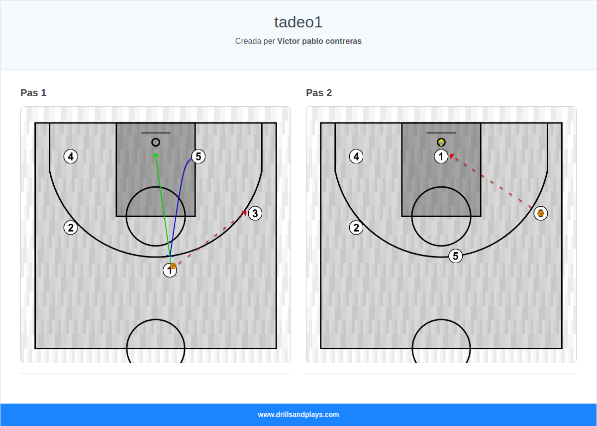 Jugada de bàsquet tadeo1