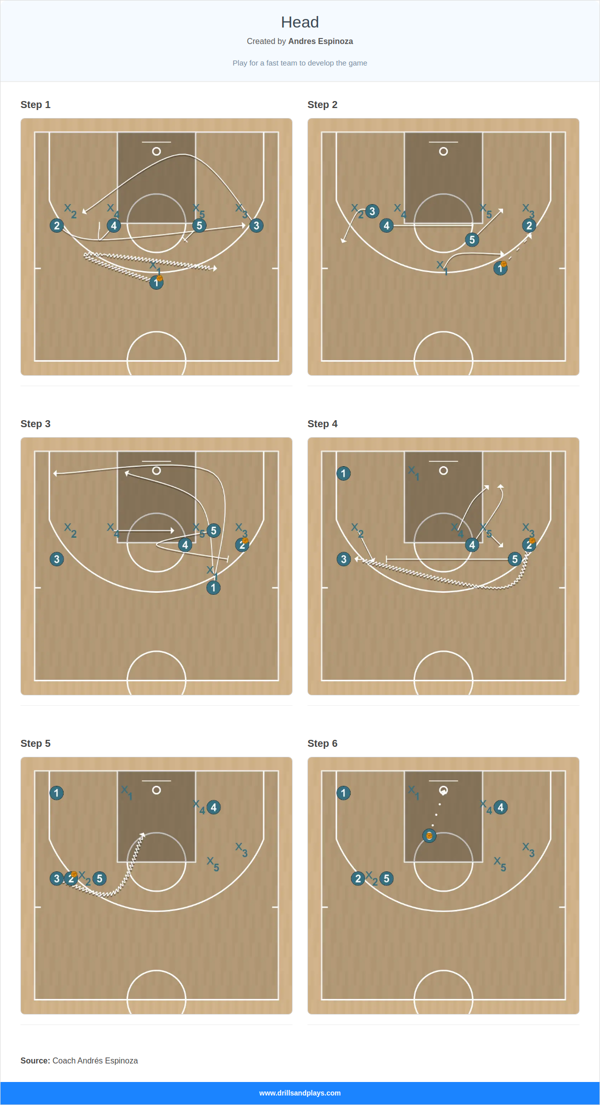 Basketball play head