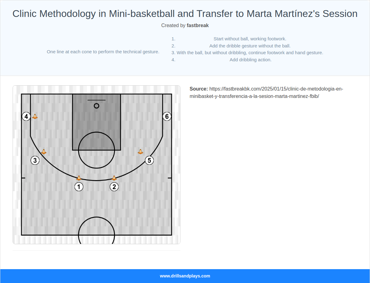 Basketball drill clinic methodology in mini-basketball and transfer to marta martínez's session