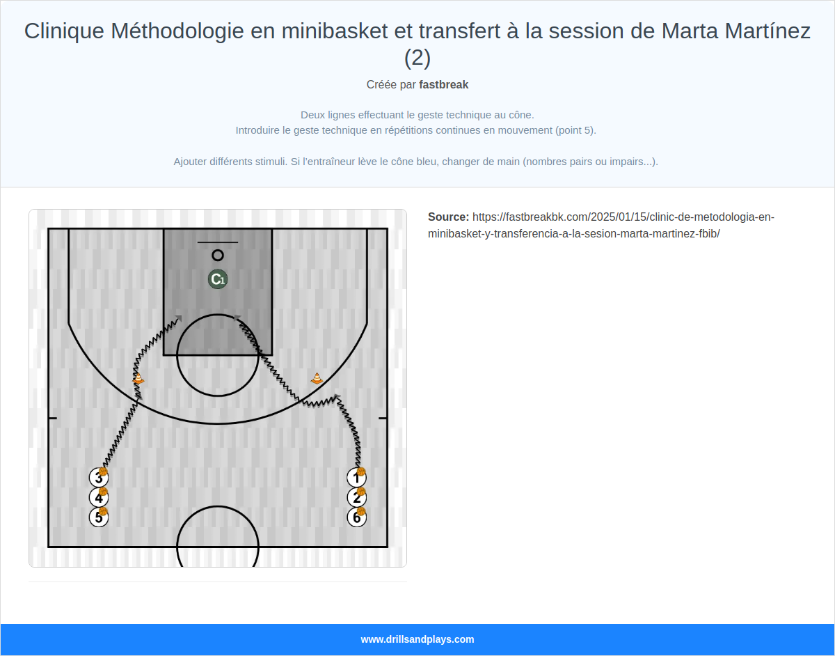 Exercices de basket-ball clinique méthodologie en minibasket et transfert à la session de marta martínez (2)