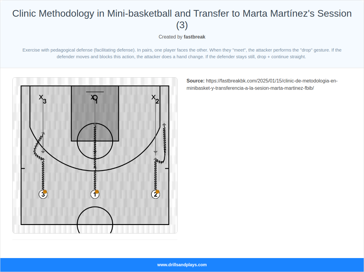 Basketball drill clinic methodology in mini-basketball and transfer to marta martínez's session (3)