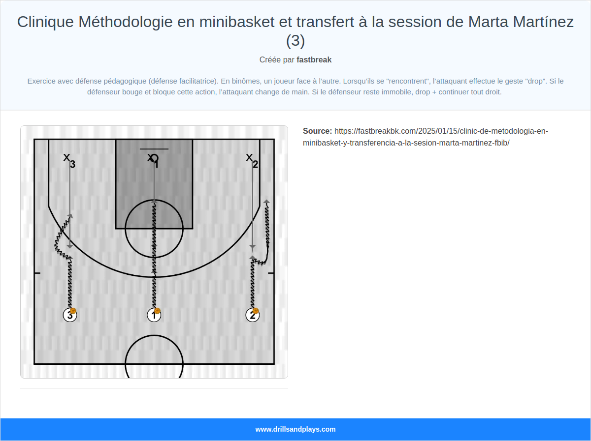 Exercices de basket-ball clinique méthodologie en minibasket et transfert à la session de marta martínez (3)