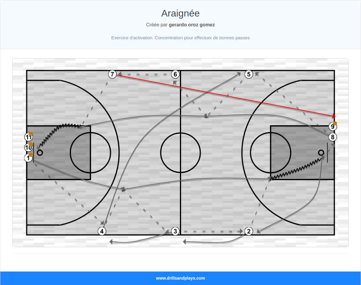 Exercices de basket-ball araignée