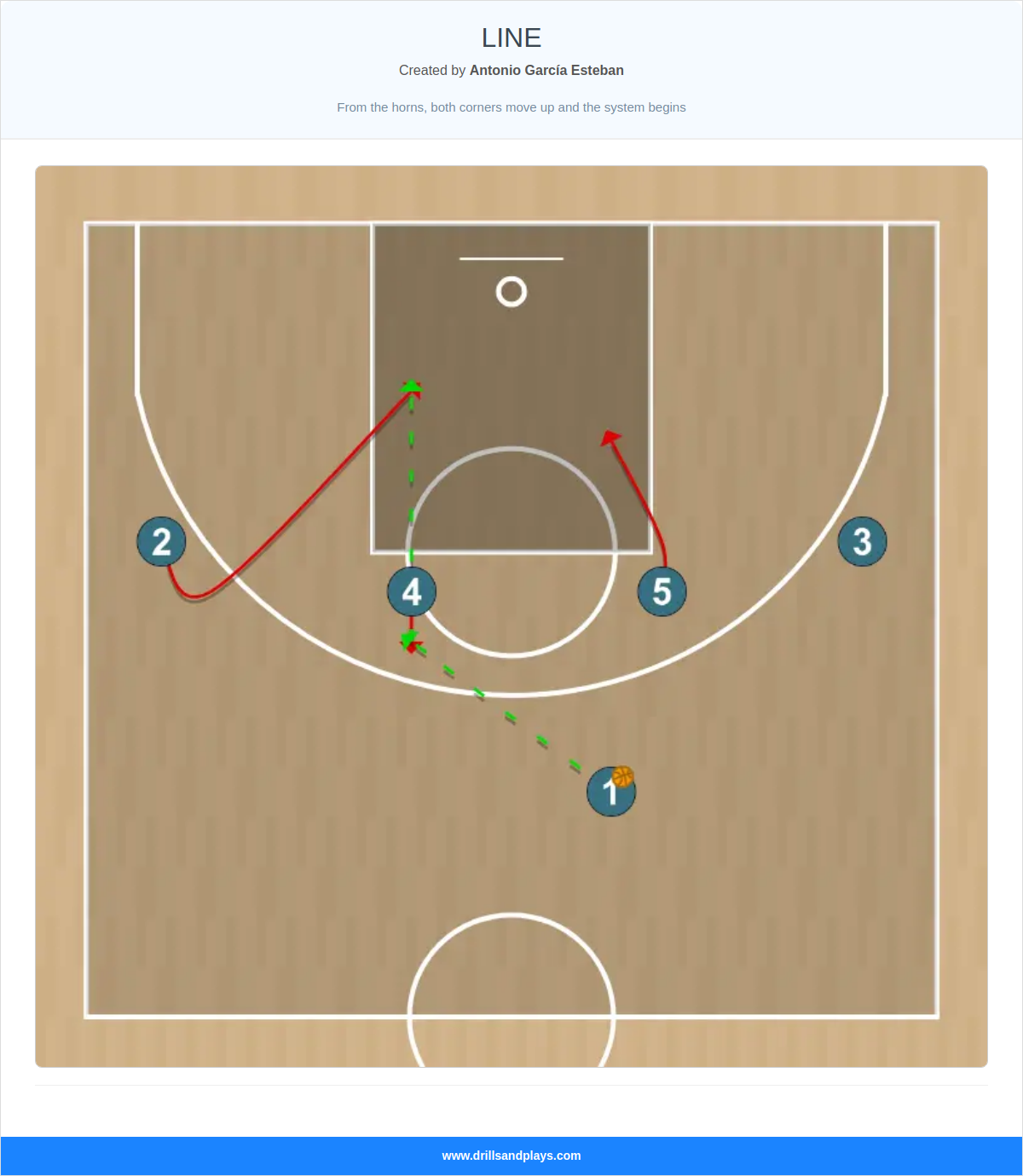 Basketball play line