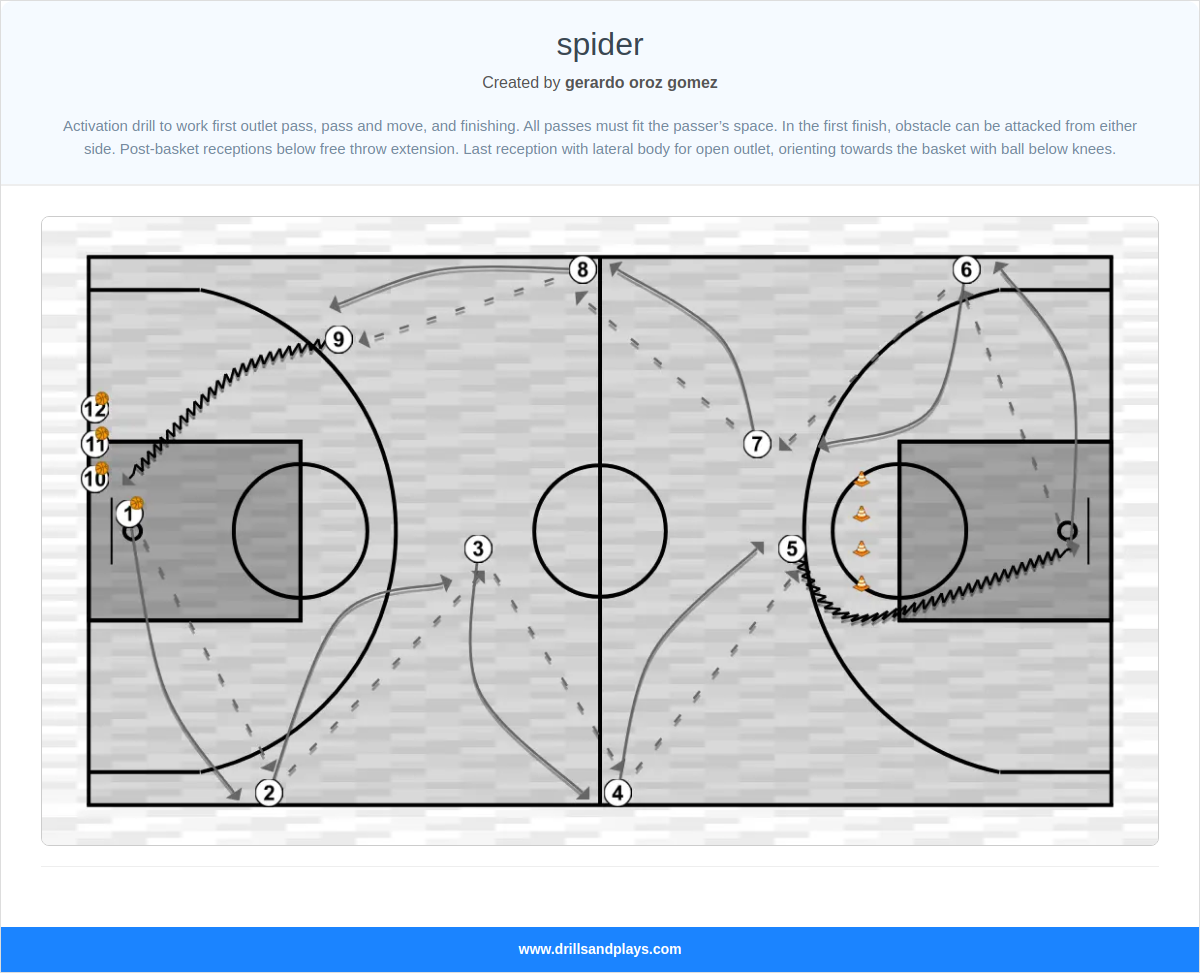 Basketball drill spider