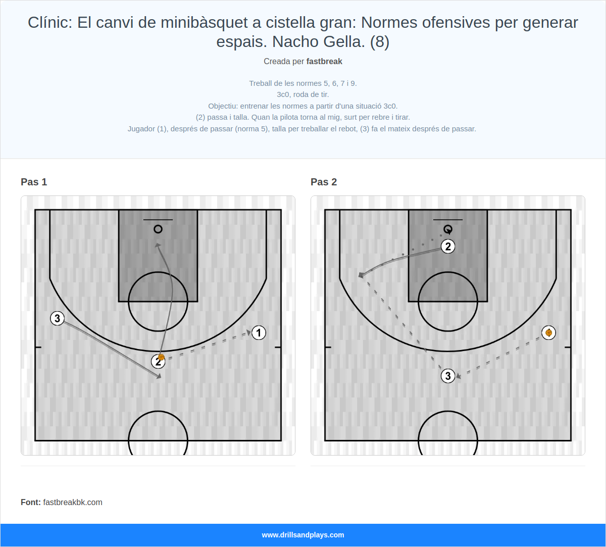 Exercici de bàsquet clínic: el canvi de minibàsquet a cistella gran: normes ofensives per generar espais. nacho gella. (8)