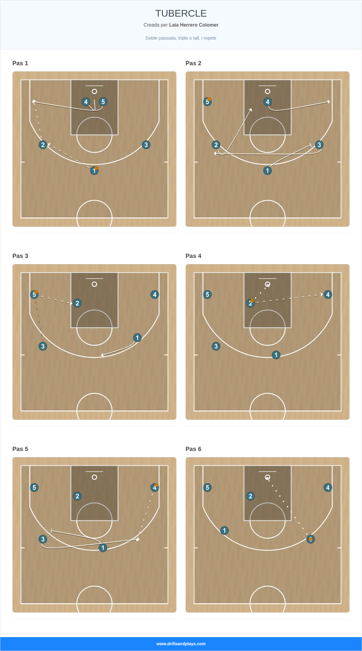 Jugada de bàsquet tubercle