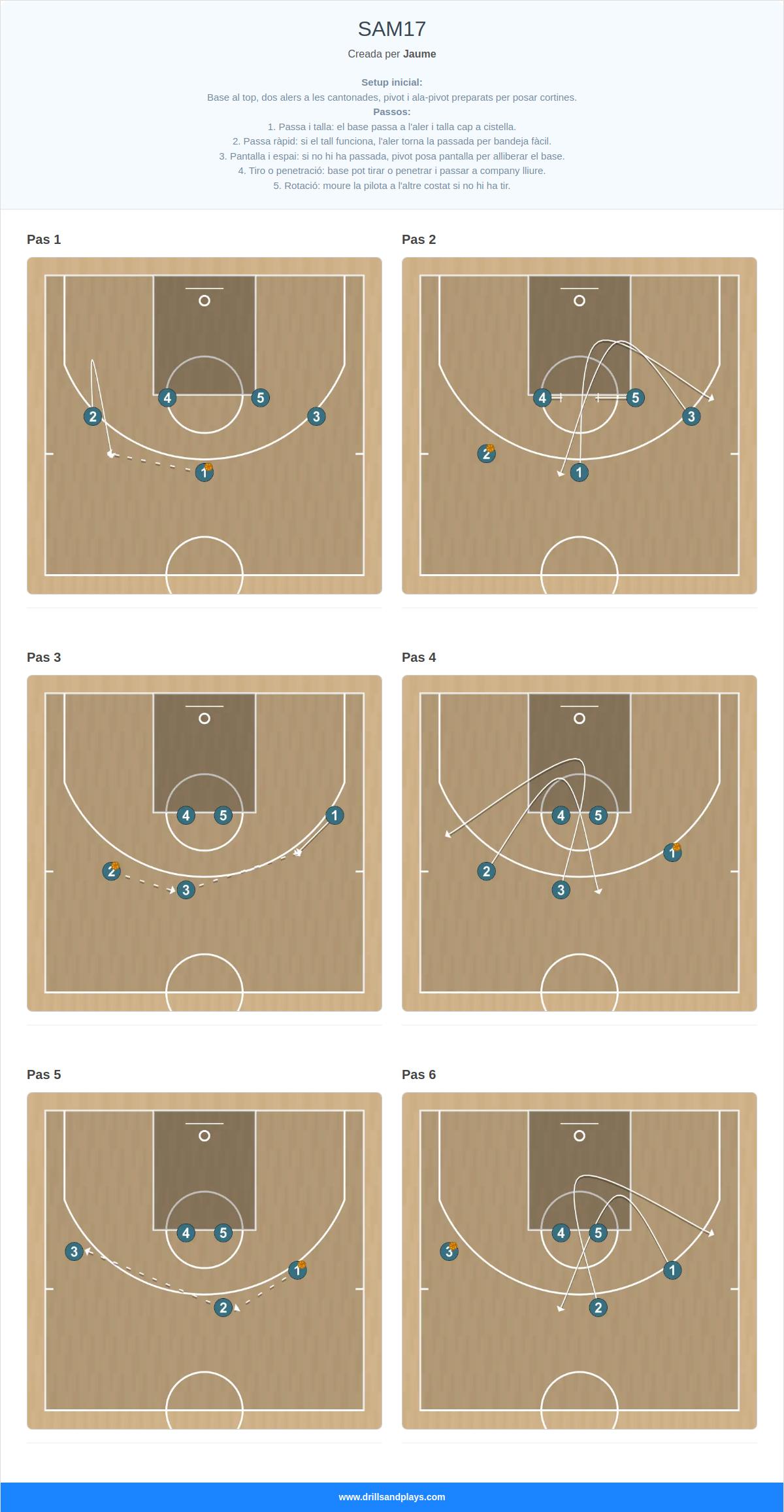 Jugada de bàsquet sam17
