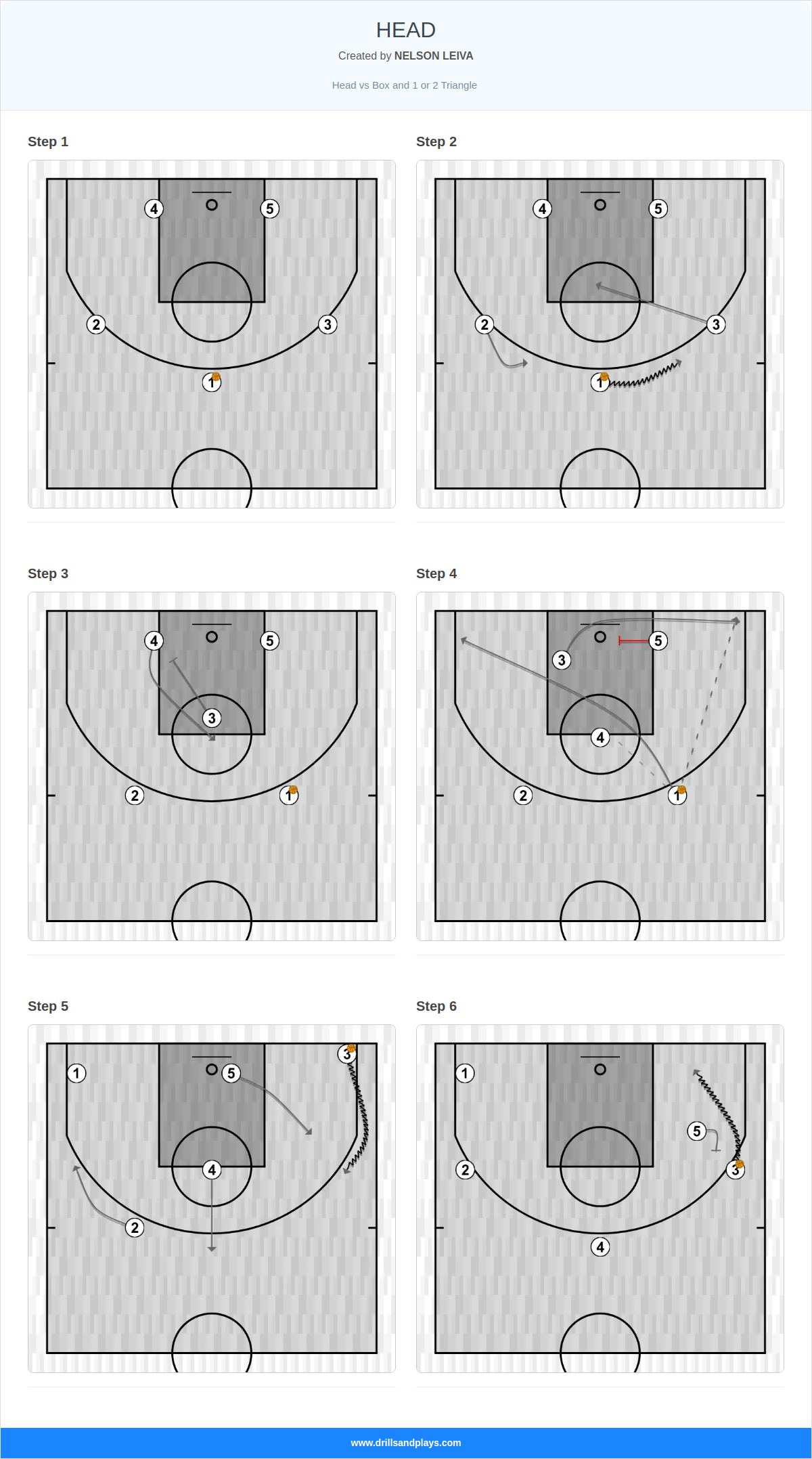 Basketball play head