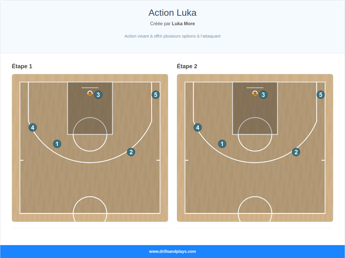 Jeux de basket-ball action luka