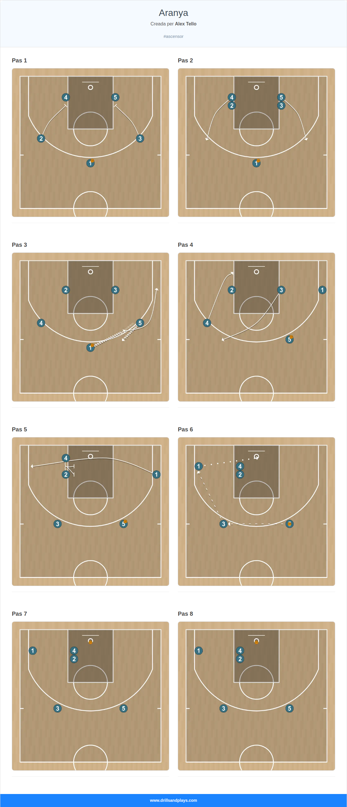 Jugada de bàsquet aranya