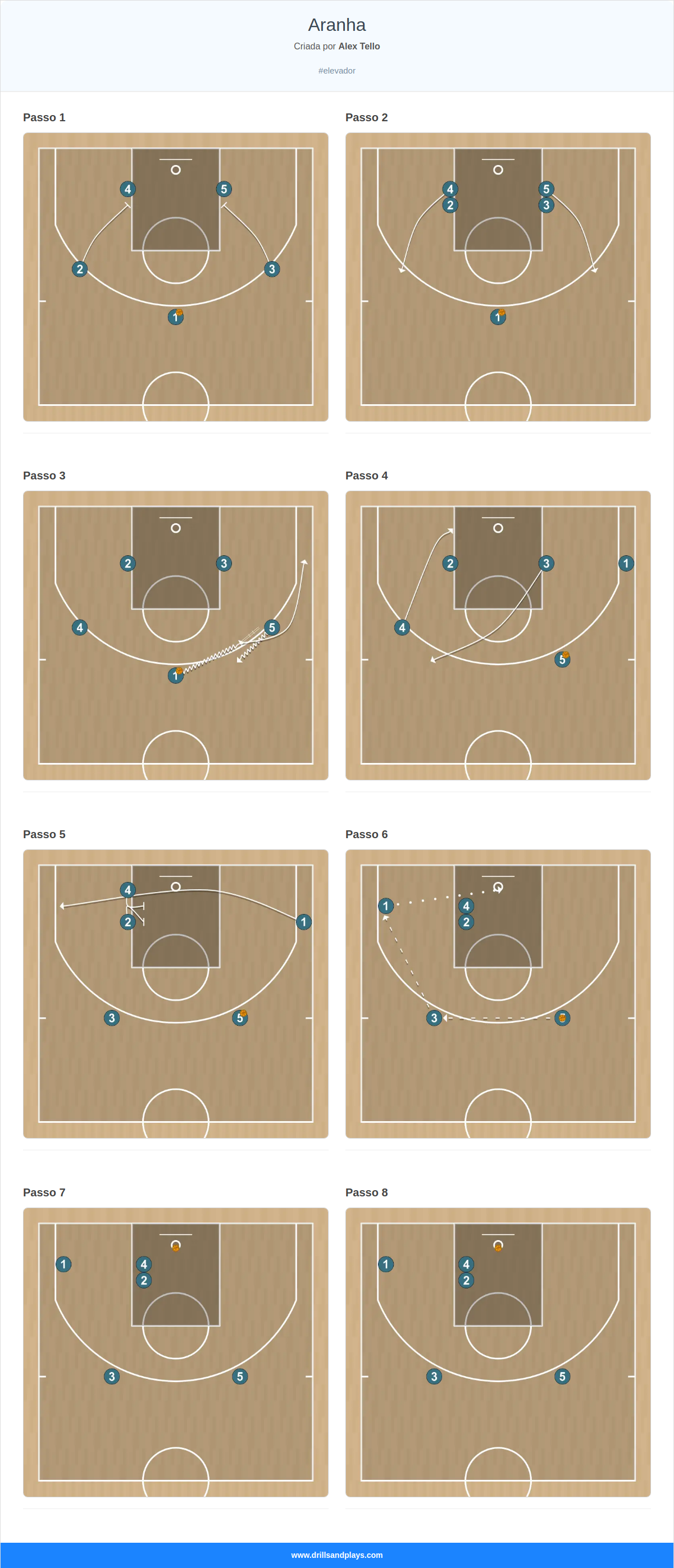Jogada de basquete aranha