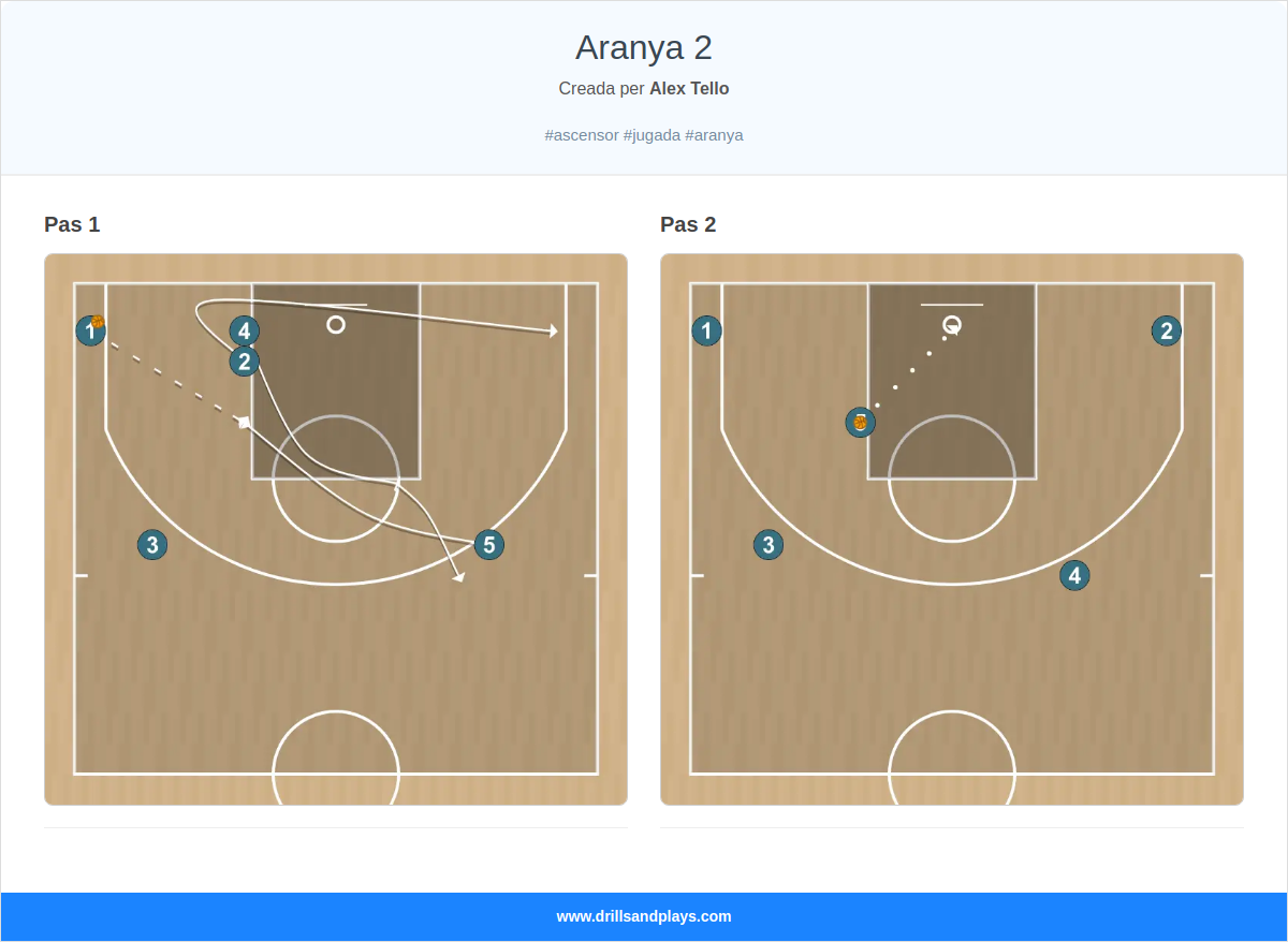 Jugada de bàsquet aranya 2