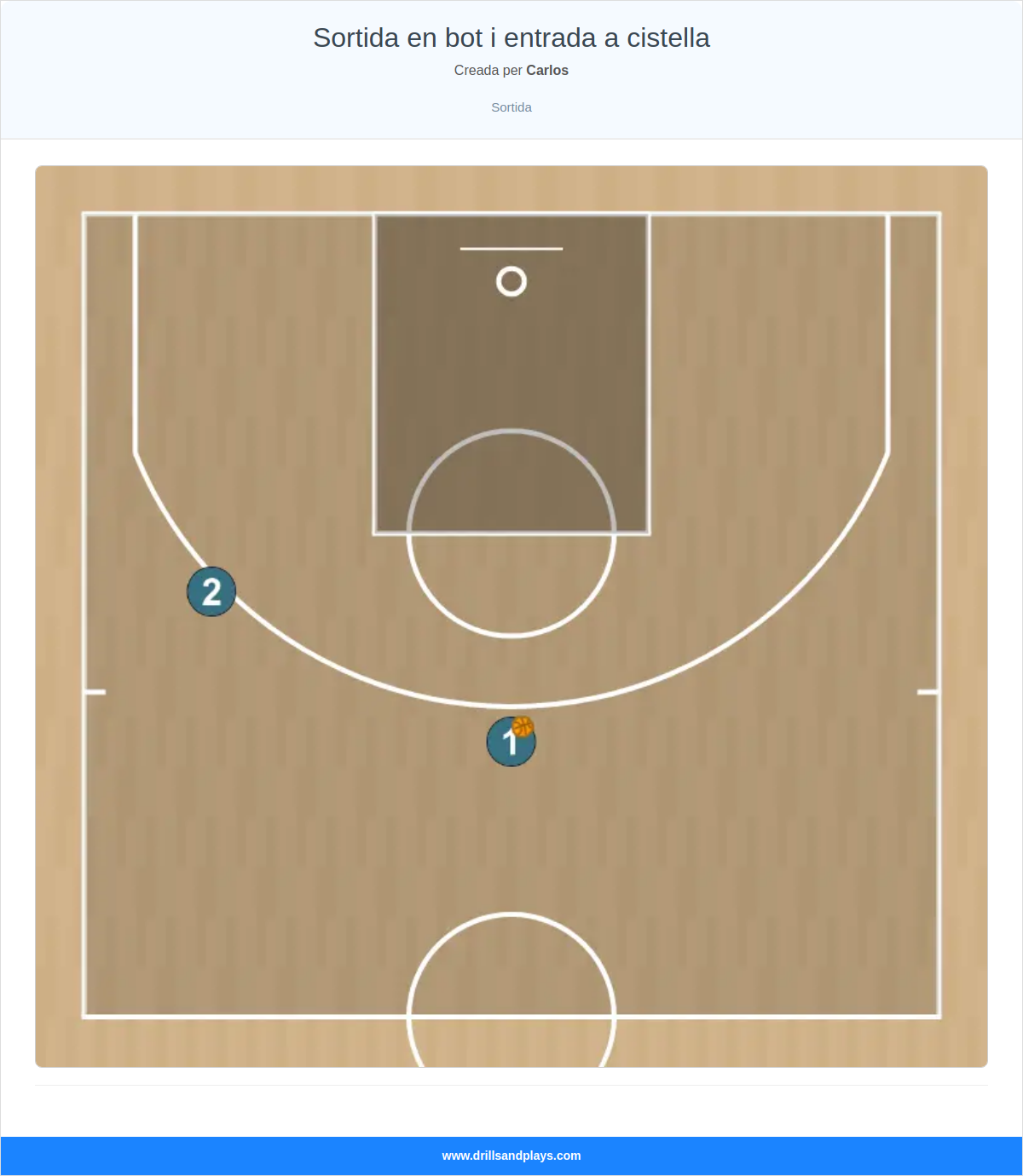Jugada de bàsquet sortida en bot i entrada a cistella